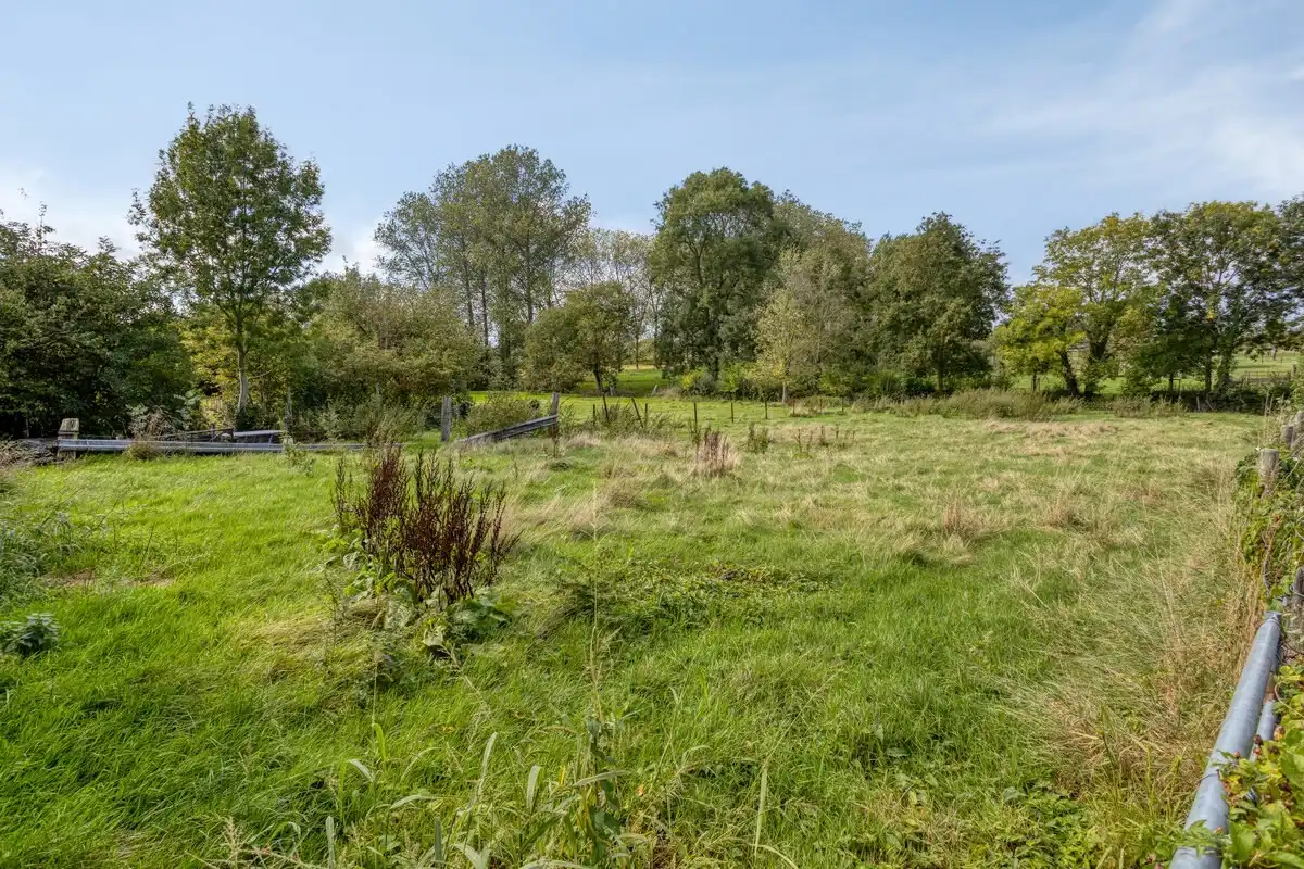 Te renoveren woning en 2 bouwgronden foto 16