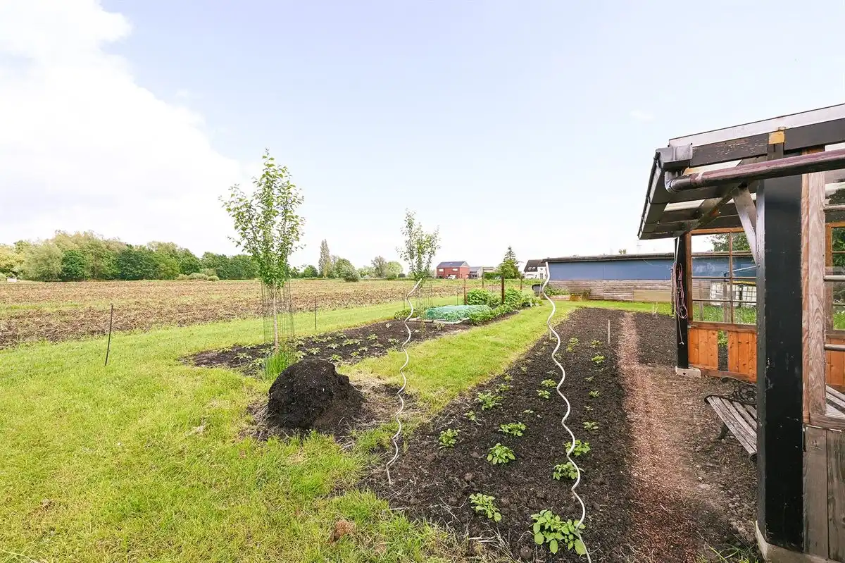 Supergezellige woning met 2 weilanden op grens Lint/Boechout/Lier foto 34