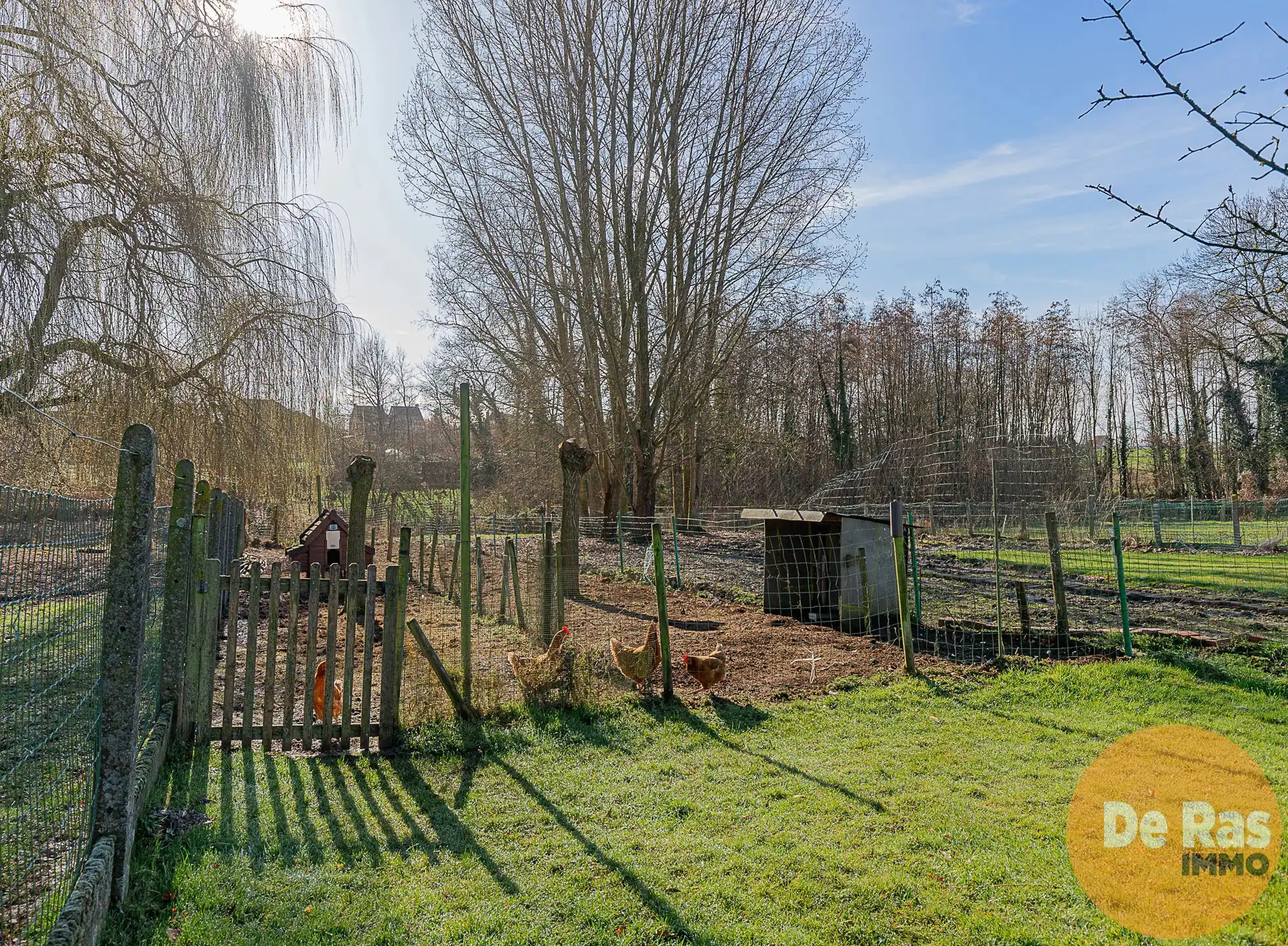 ZOTTEGEM - Gesloten bebouwing met tuin en energietechnieken foto 27