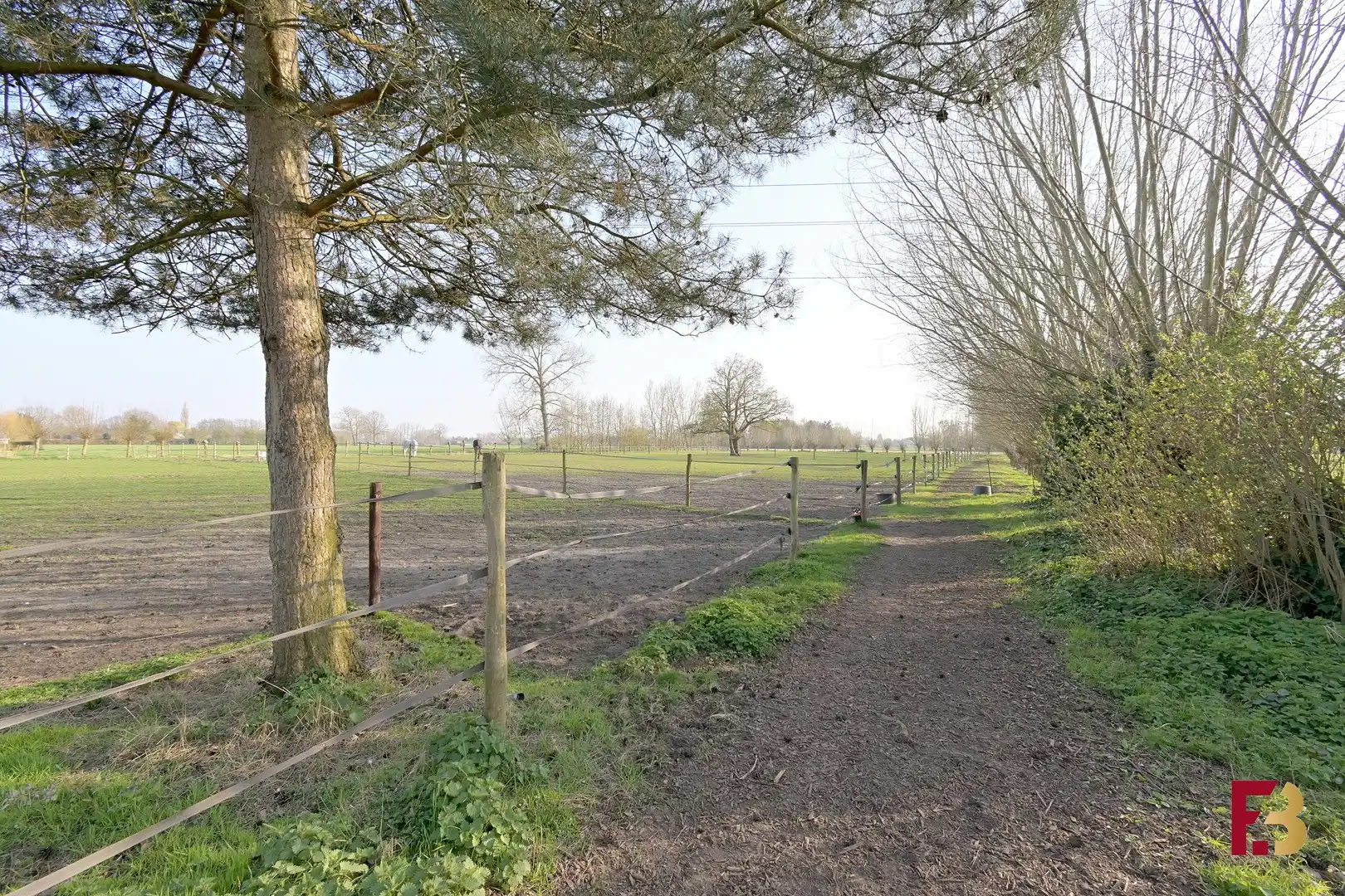 Woning met stallen op circa 1,9ha in het groene Lokeren foto 21