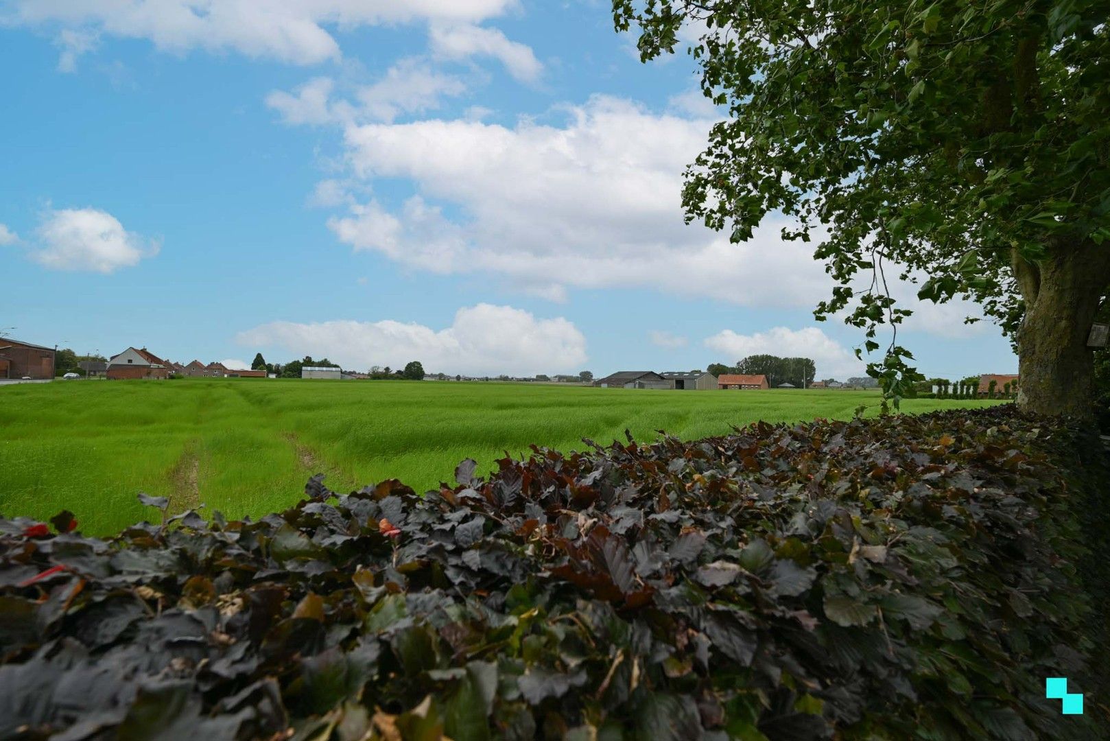 Landelijk gelegen woning met loods te Lendelede foto 21