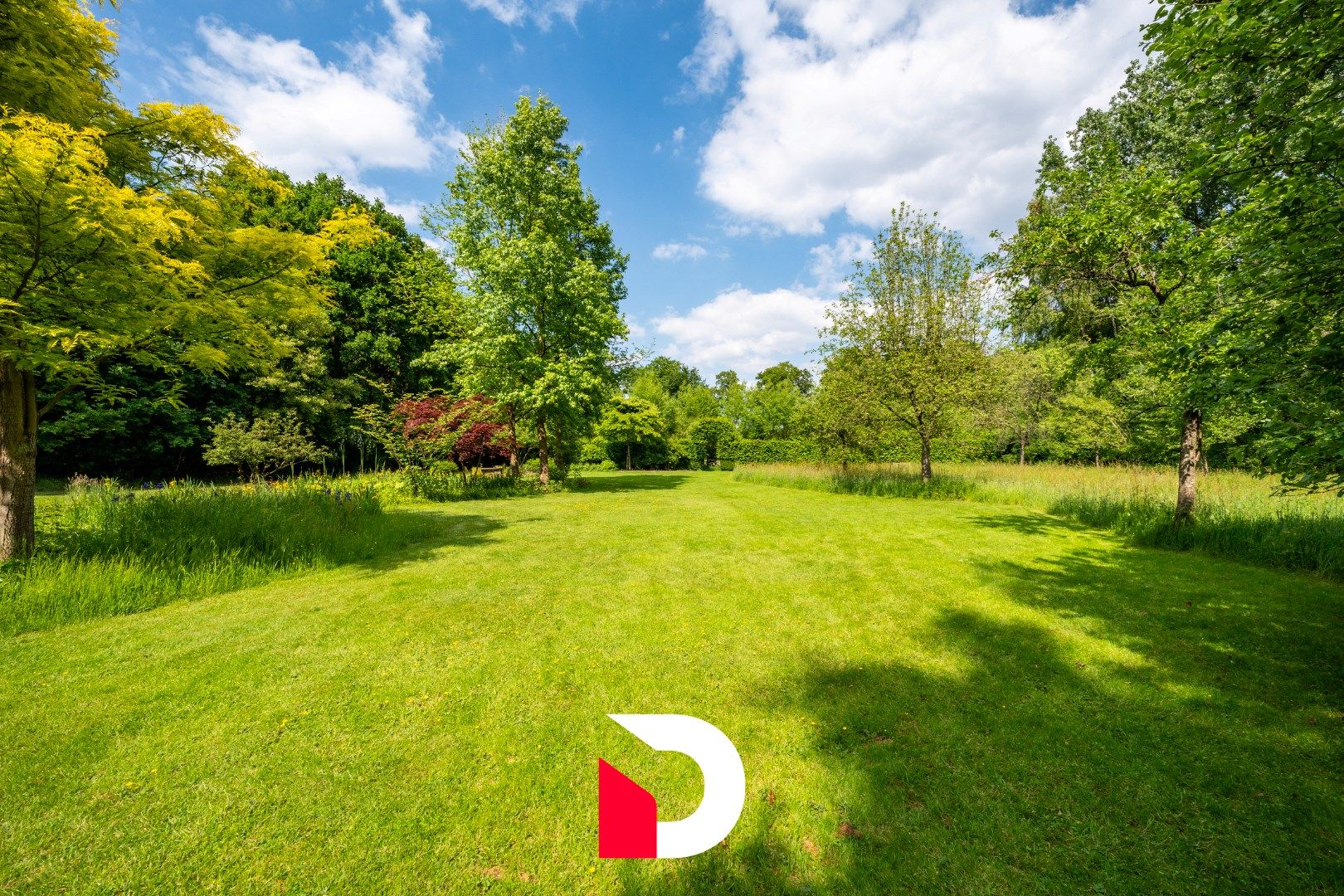 Hoofdfoto van de publicatie: Uniek eigendom in de bossen van Hertsberge