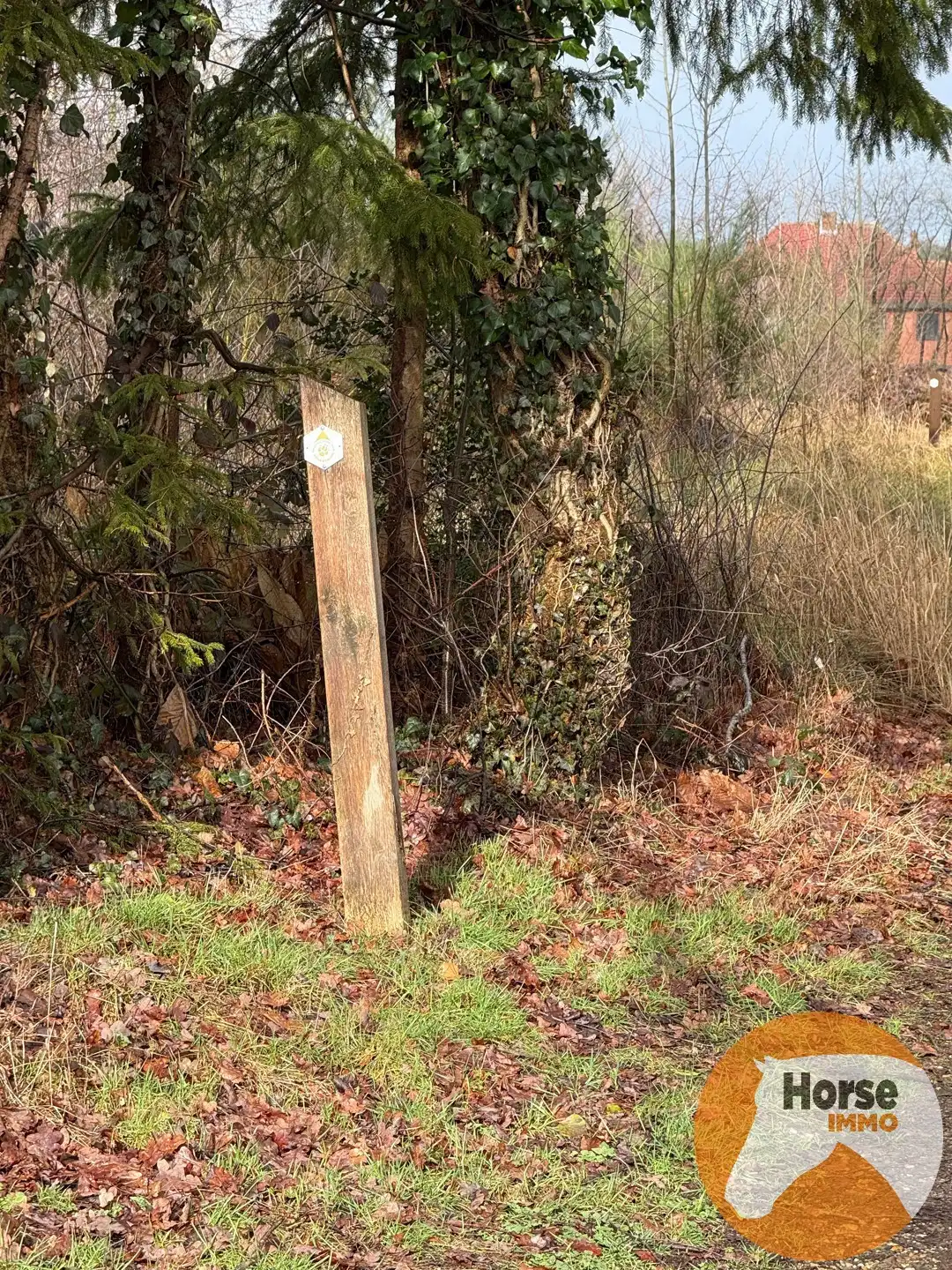 OPGLABBEEK - Gezinswoning met tuin, weide en paardenstallen  foto 29