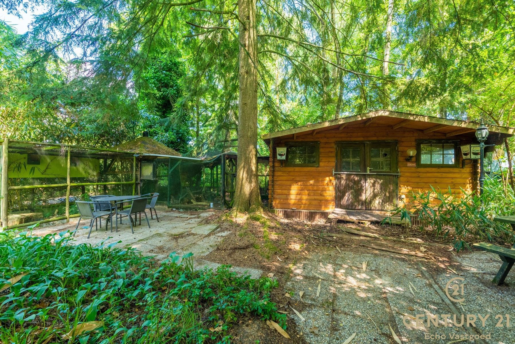 Volledig te renoveren vakantiechalet op een royaal perceel foto 14