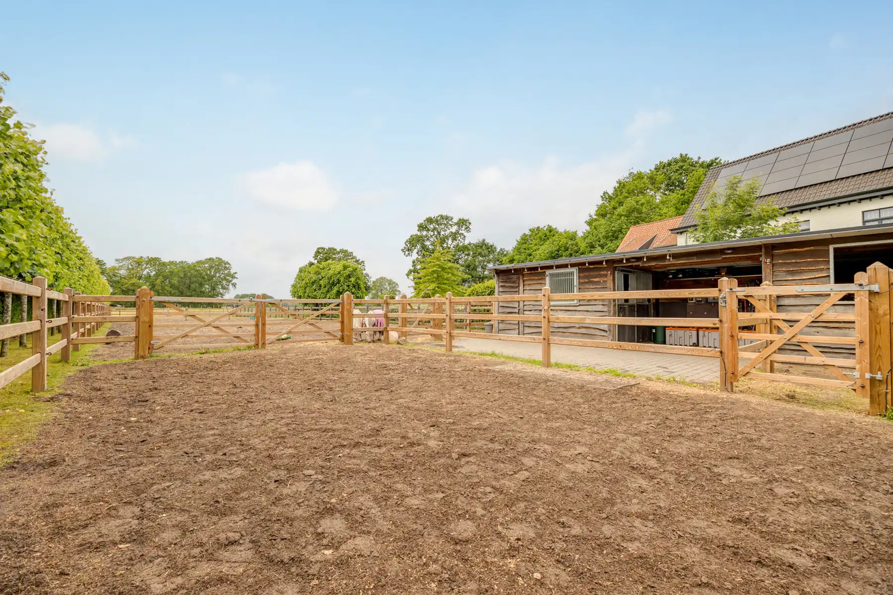 Villa met zwembad en paardenaccomodatie foto 4