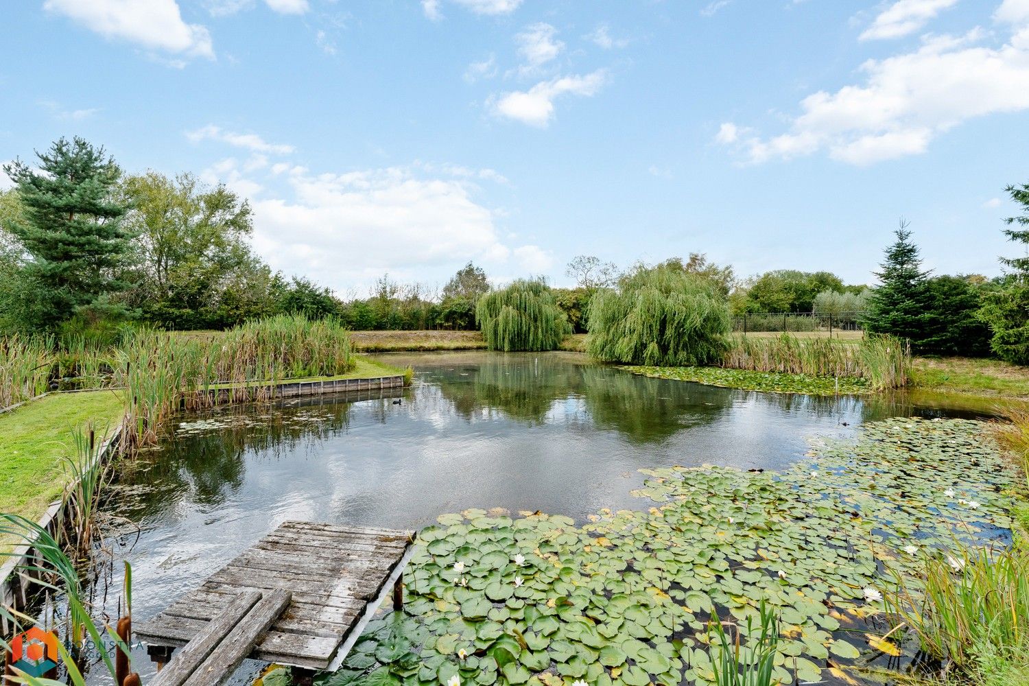 Woning met 4 slpkrs op een perceel van 13.598 m² te Sint-Katelijne-Waver foto 3