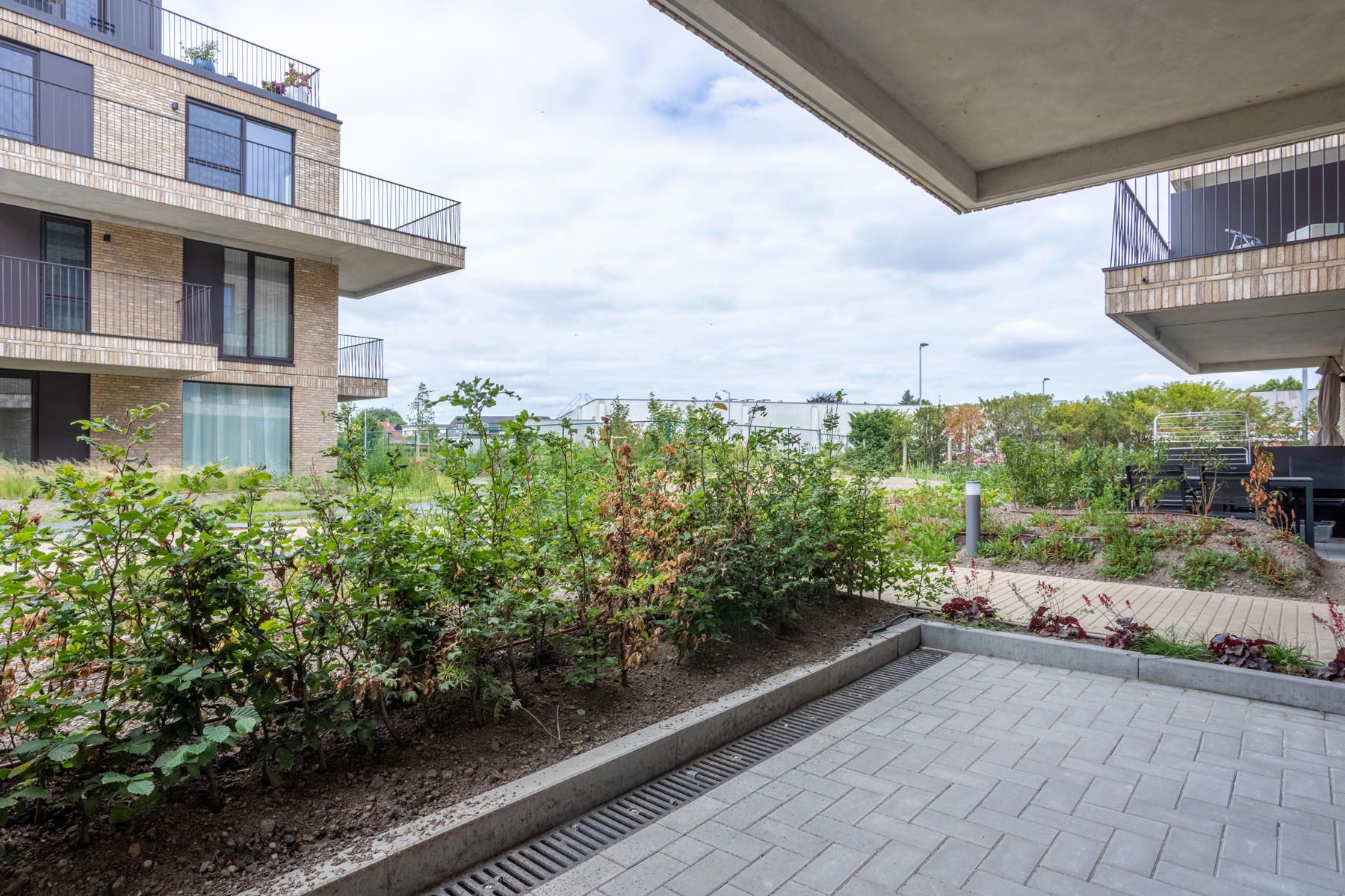 Gelijkvloers appartement. foto 4