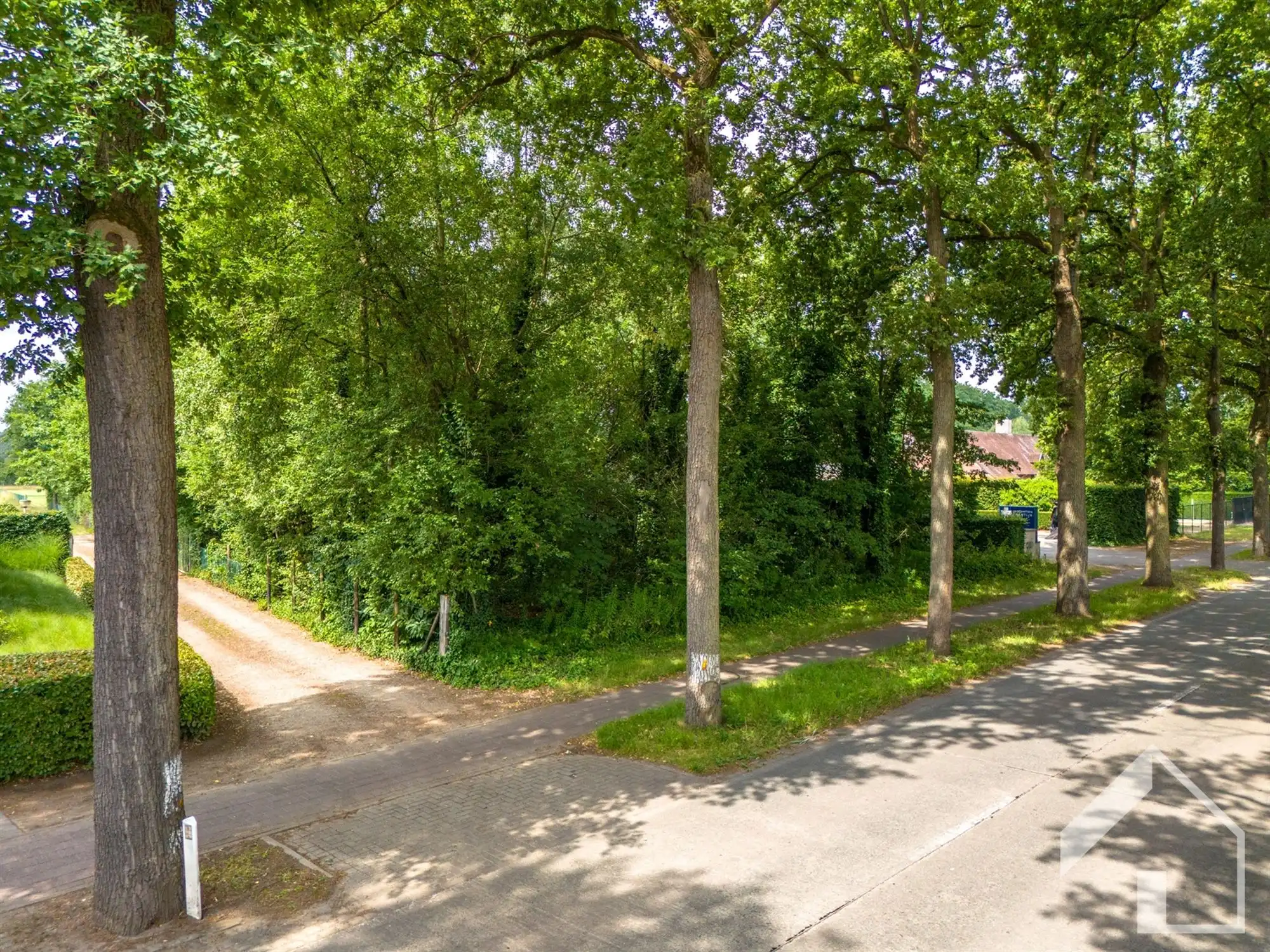 Ruime grond (2.060 m²) voor open bebouwing  foto {{pictureIndex}}