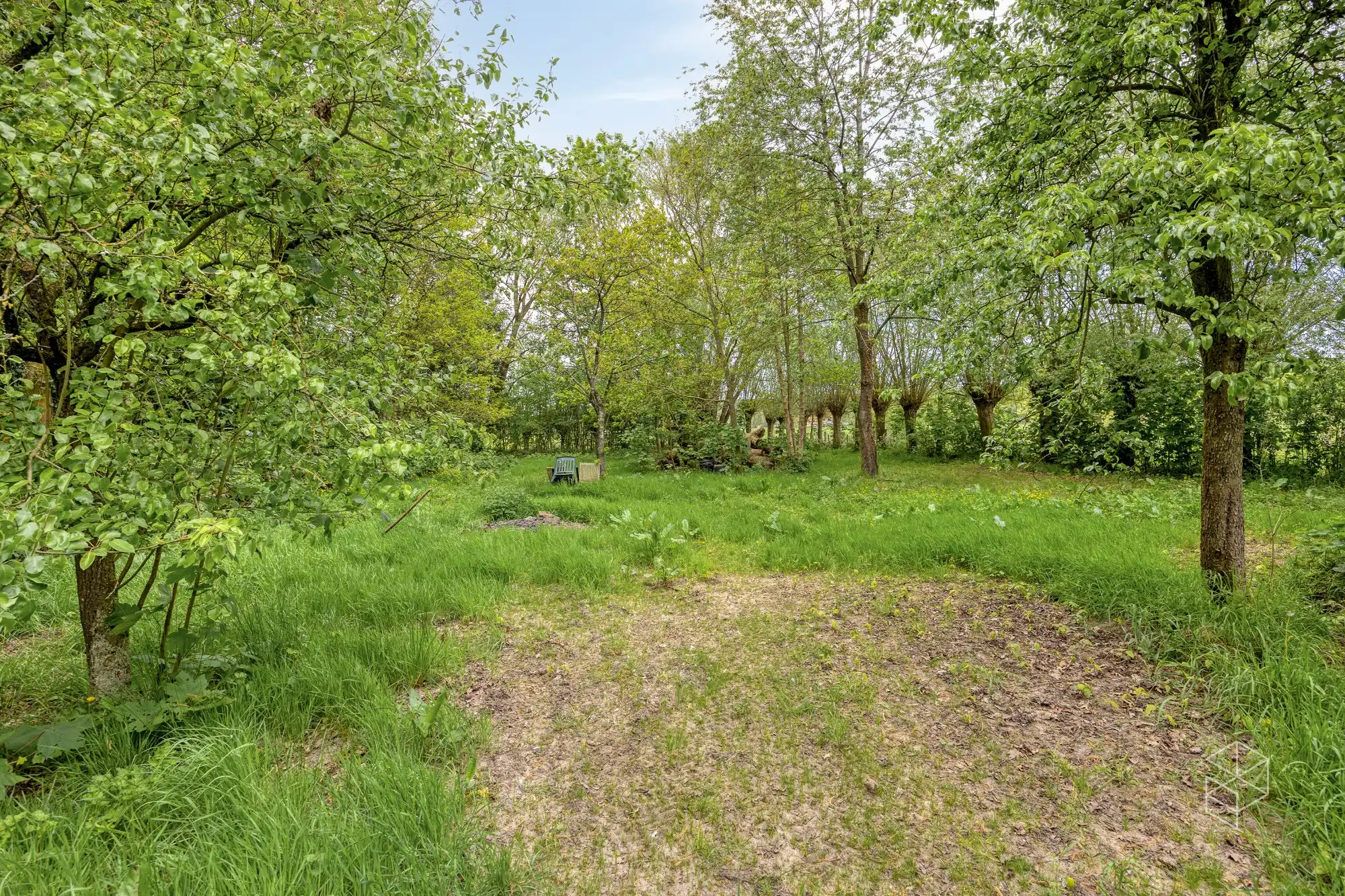 Karaktervolle villa met polyvalent bijgebouw, zwemvijver & aangelegde tuin met uitweg op 4.012m² foto 20