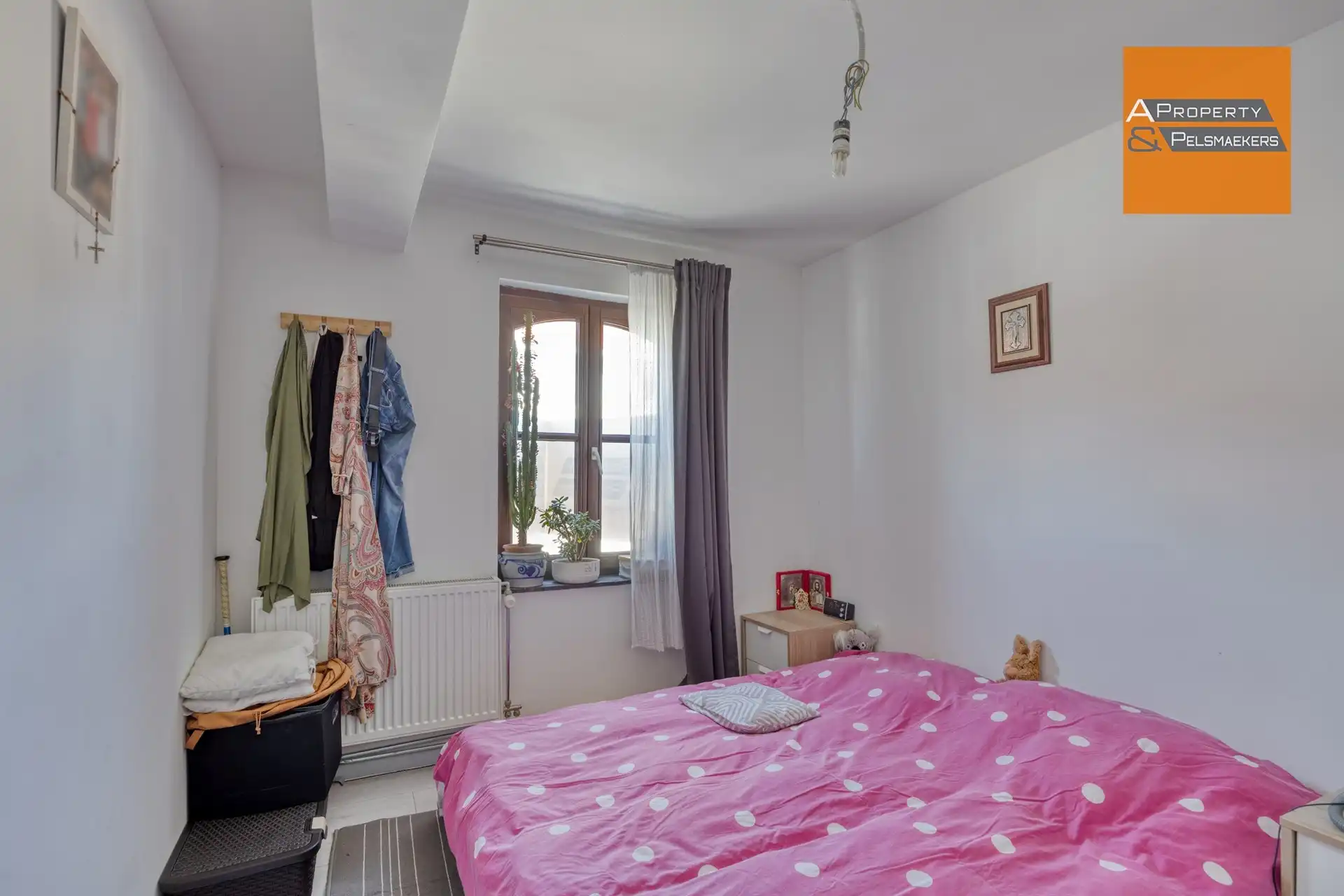 Twee voor de prijs van één? foto 6