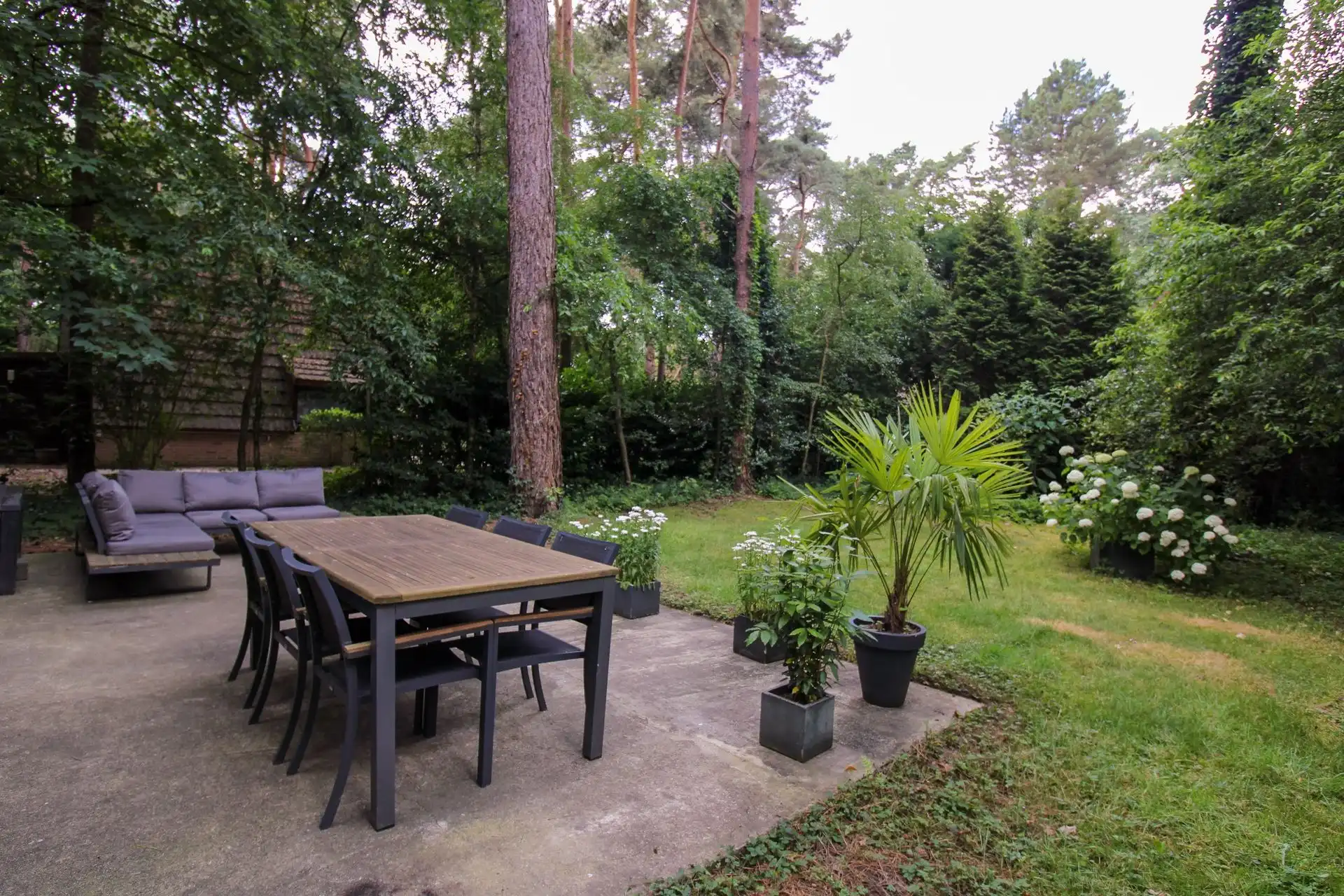 Huis foto 14