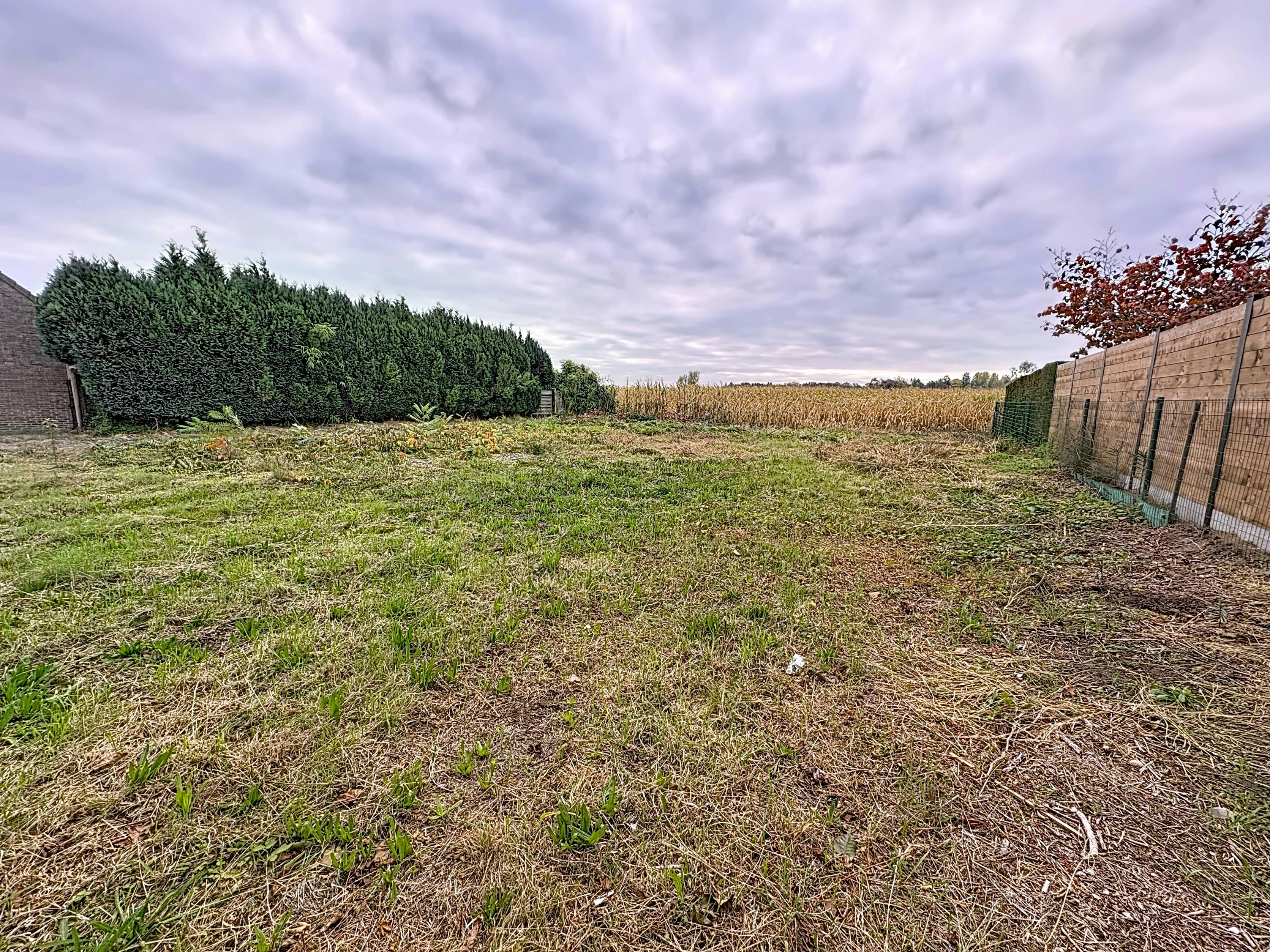 Mooie bouwgrond voor open bebouwing te Blaasveld foto 2