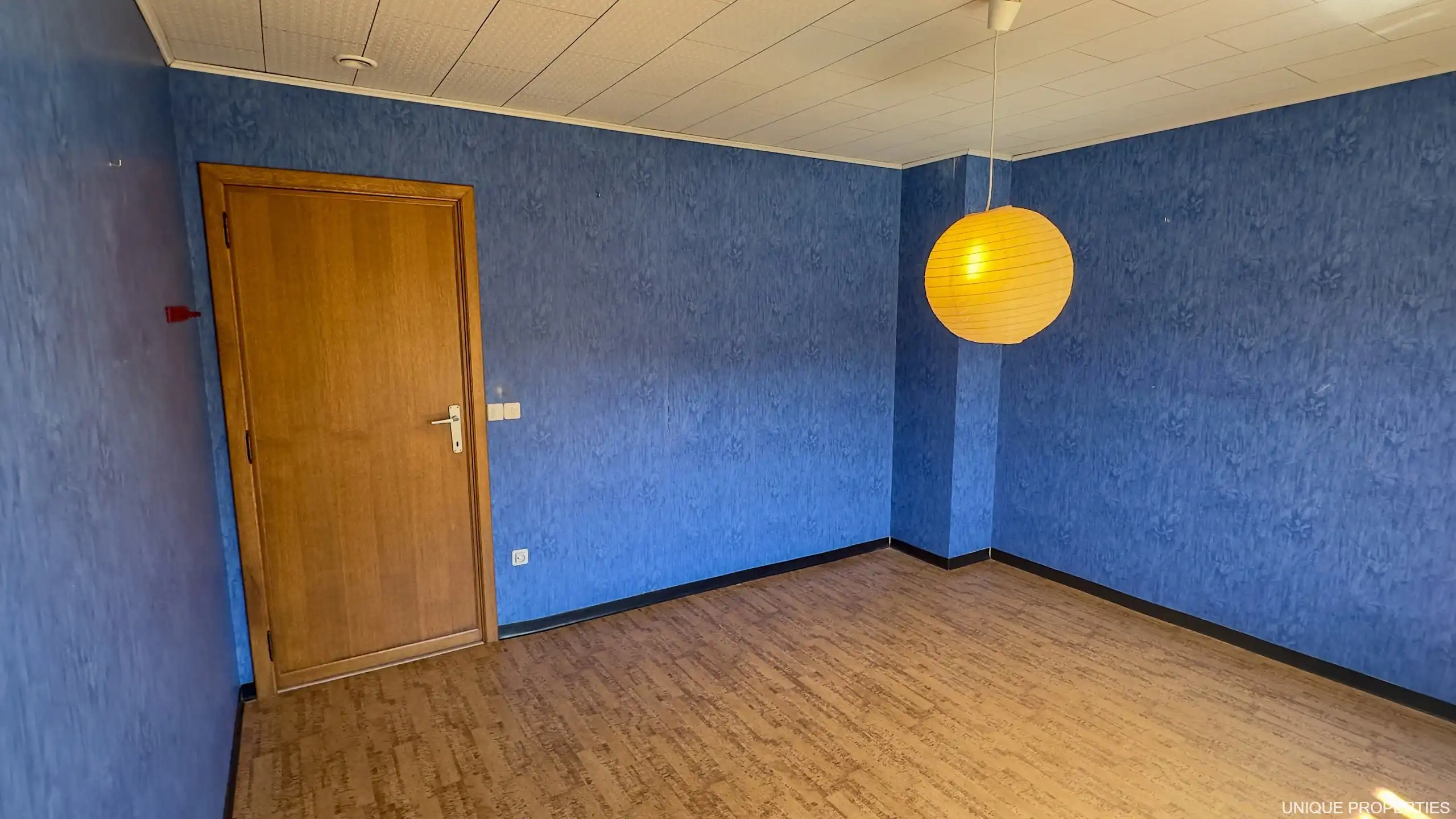 Huis te koop foto 23