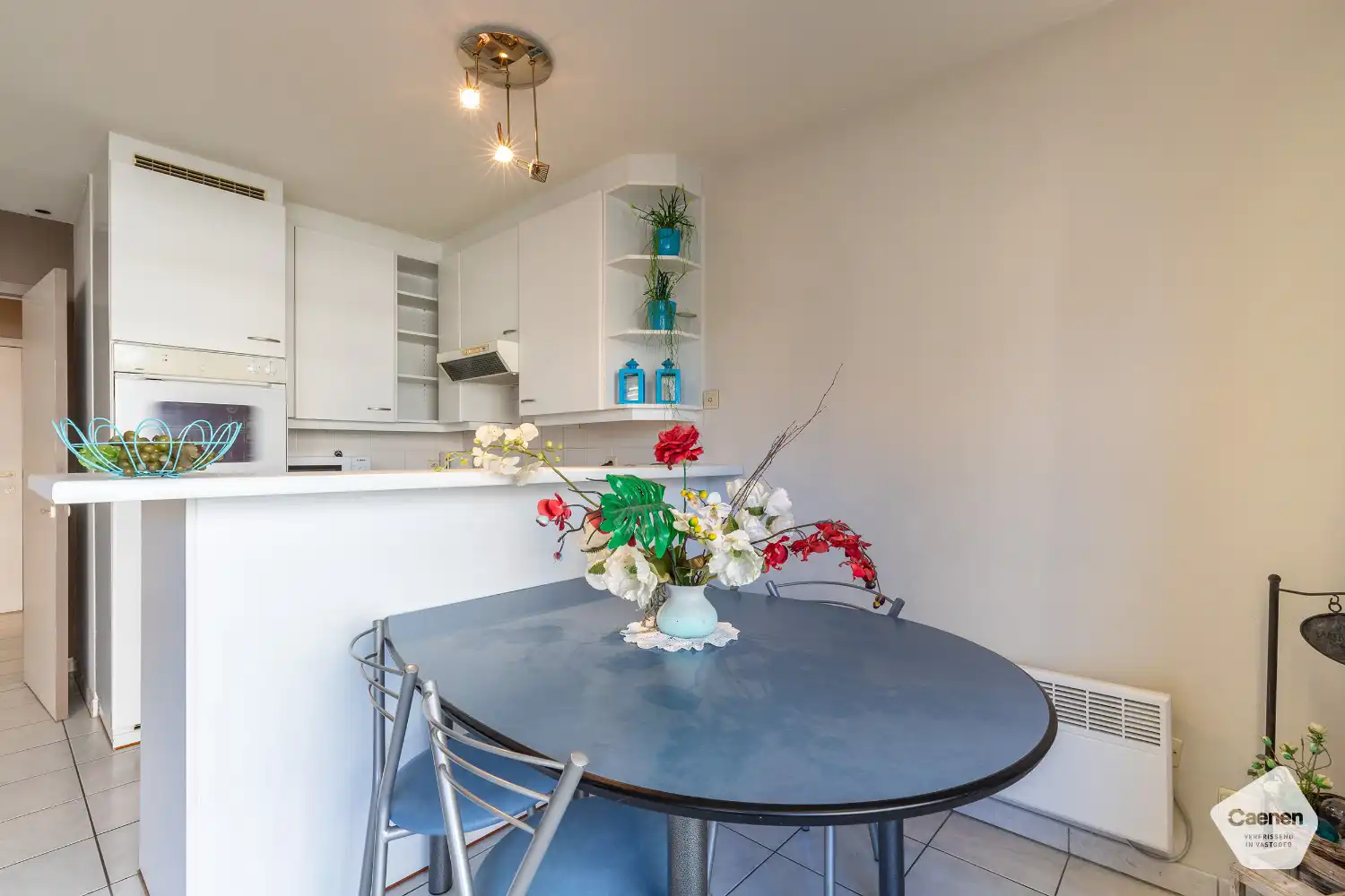 Zeer ruime studio met afgesloten slaaphoek te Nieuwpoort-Bad foto 4