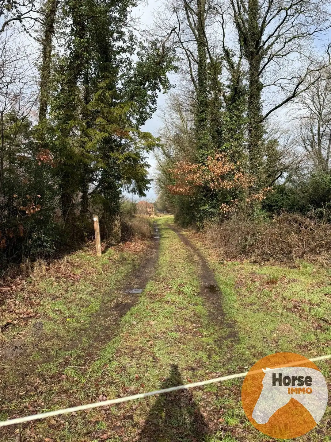 OPGLABBEEK - Gezinswoning met tuin, weide en paardenstallen  foto 31