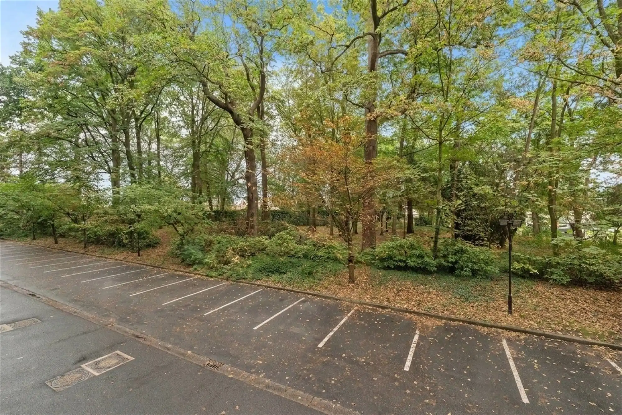 Wonen in de bomen: gezellig en instapklaar 2-slaapkamerappartement met terras foto 11