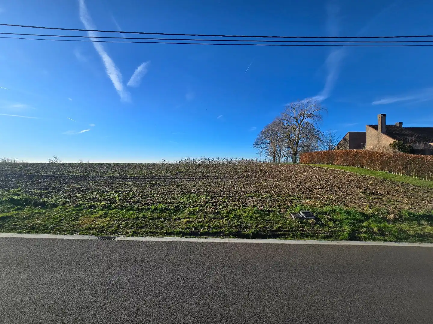 Grond te koop Opleeuwstraat 16 - - 3840 Borgloon