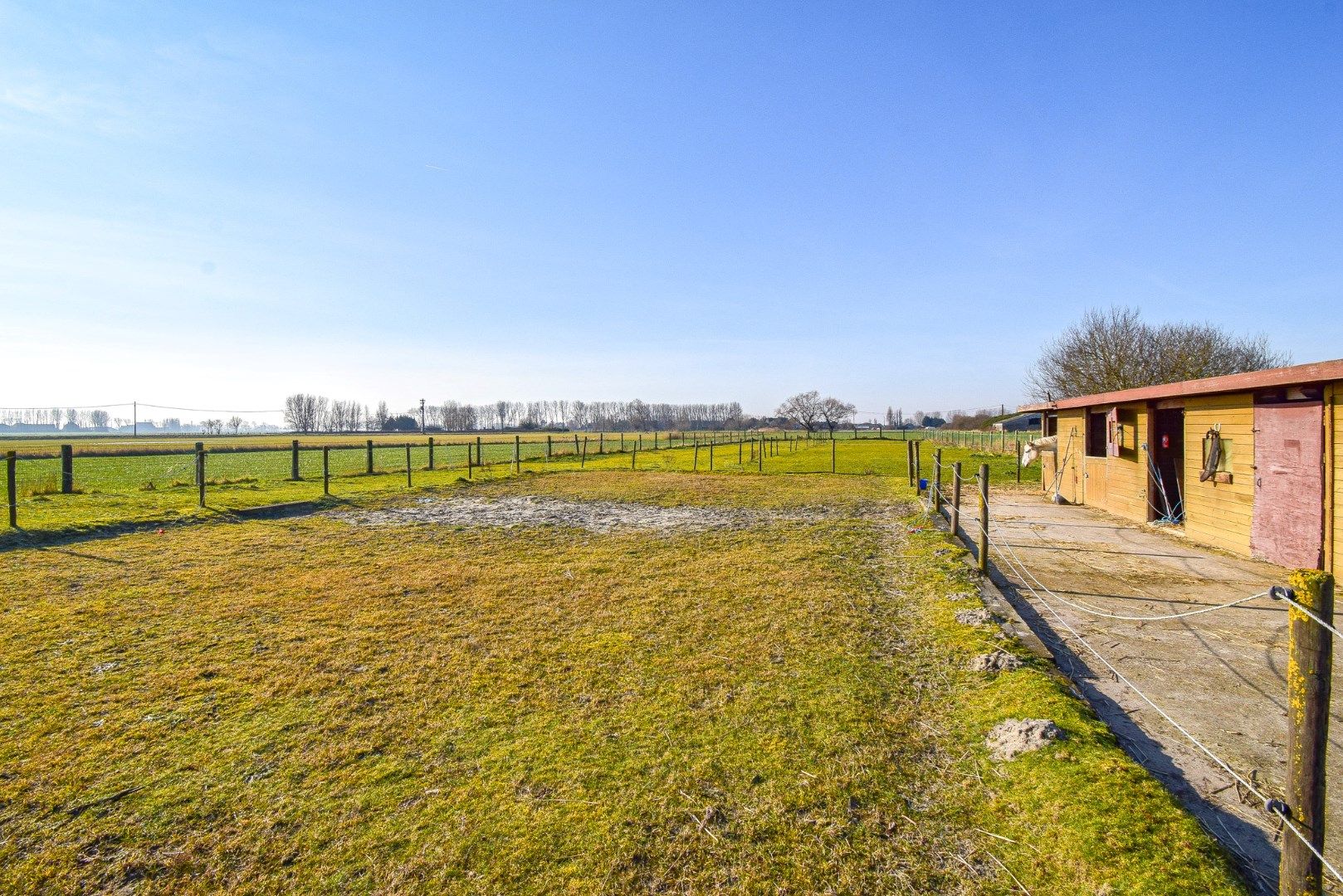  Mooi perceel weiland (2920 m²) met bijhorende paardenstalling op landelijke ligging te Westende foto 4