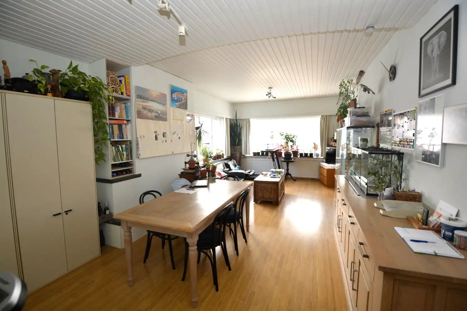 TE MODERNISEREN H.O.B. MET TUIN EN GARAGE! foto 4
