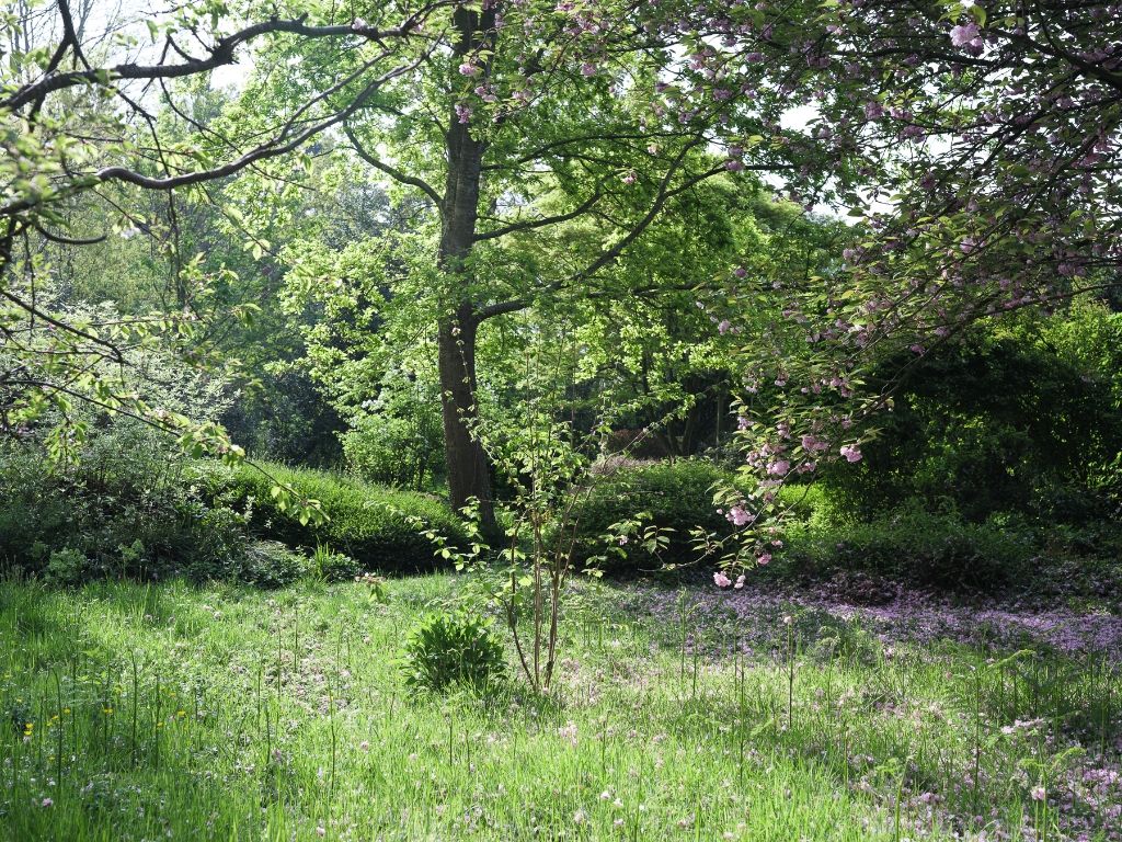Uitzonderlijke opportuniteit Sint-Amandsberg – ‘Villa Bromelia’ - Statige en ruime woning (437m2 bvo) met een prachtig aangelegde tuin op een boogscheut van het stadscentrum – nabij de Rozenbroeken. foto 35