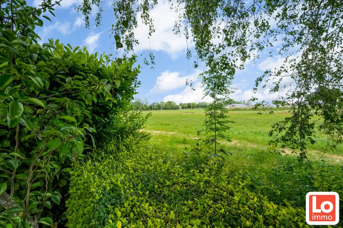 IN OPTIE! Te renoveren gelijkvloers woning met een open zicht op de achterliggende velden. foto 12