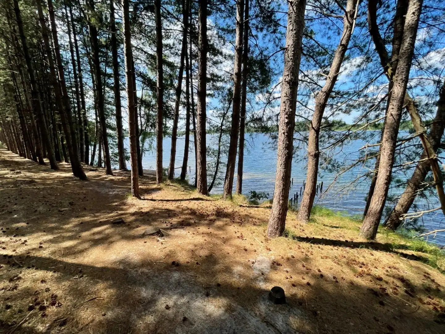 Dubbele woonst op 3000m²  met uitzicht op natuur en water foto 6