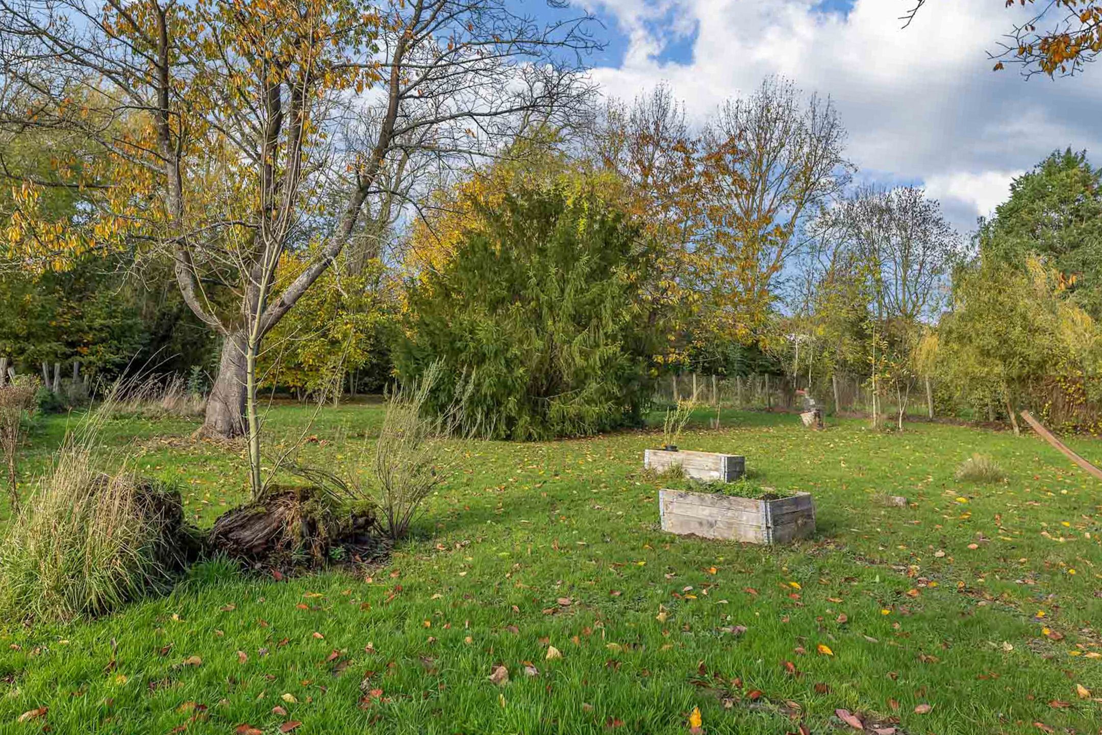 Woning met loods en 510 m² bewoonbare oppervlakte in Velzeke foto 36