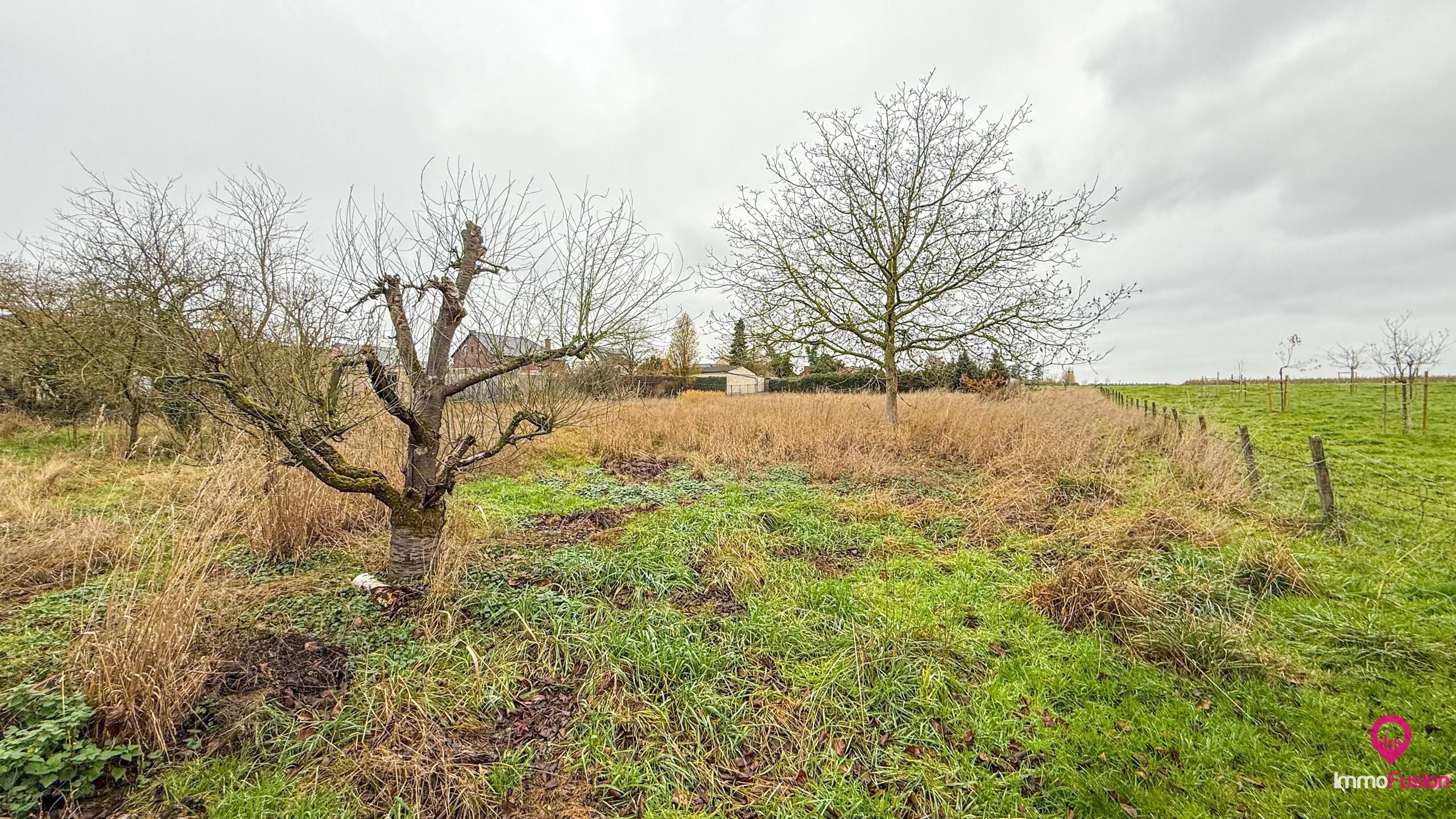 Bungalow met grote werkplaats en weide op 42 are in Alken foto 39