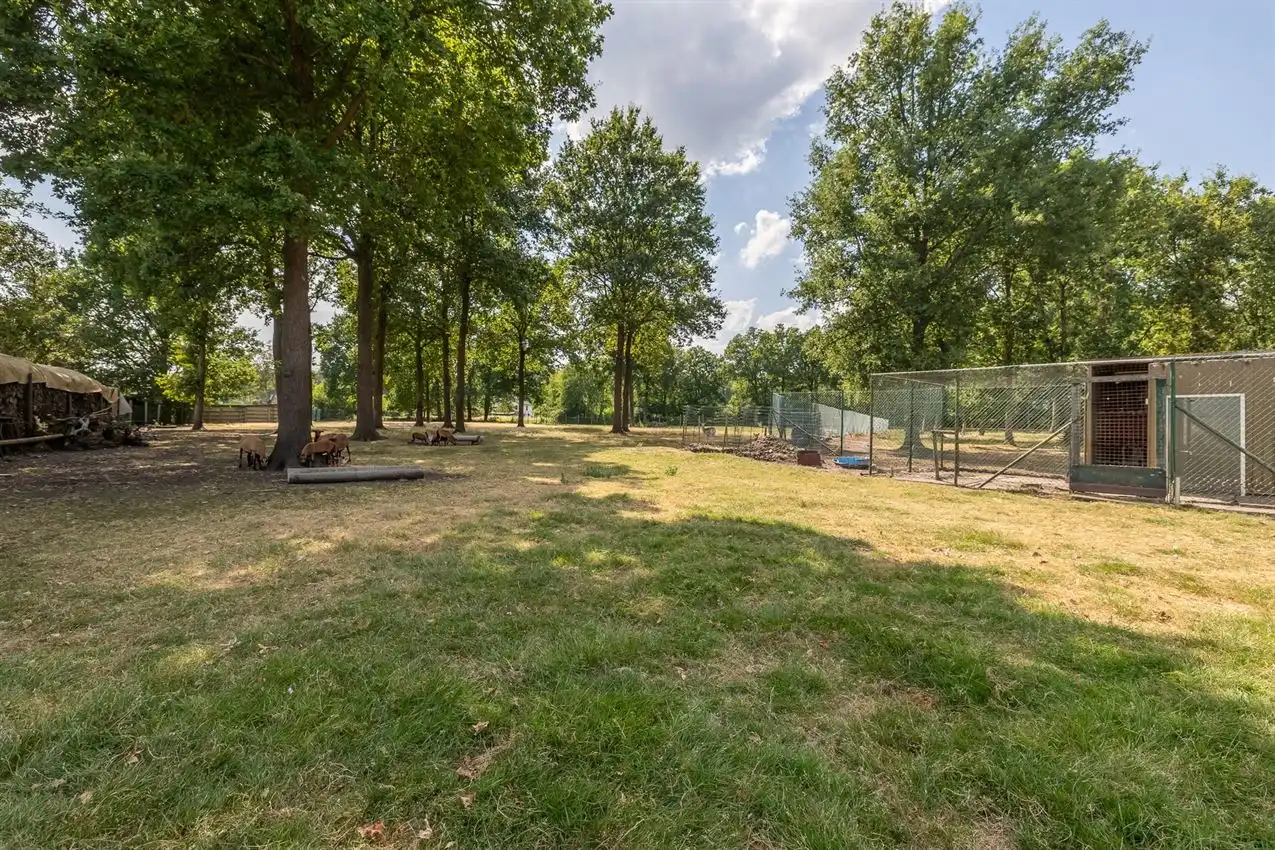 Landelijk wonen op uitzonderlijk perceel van 1ha50a met volop ruimte, privacy en mogelijkheden foto 51