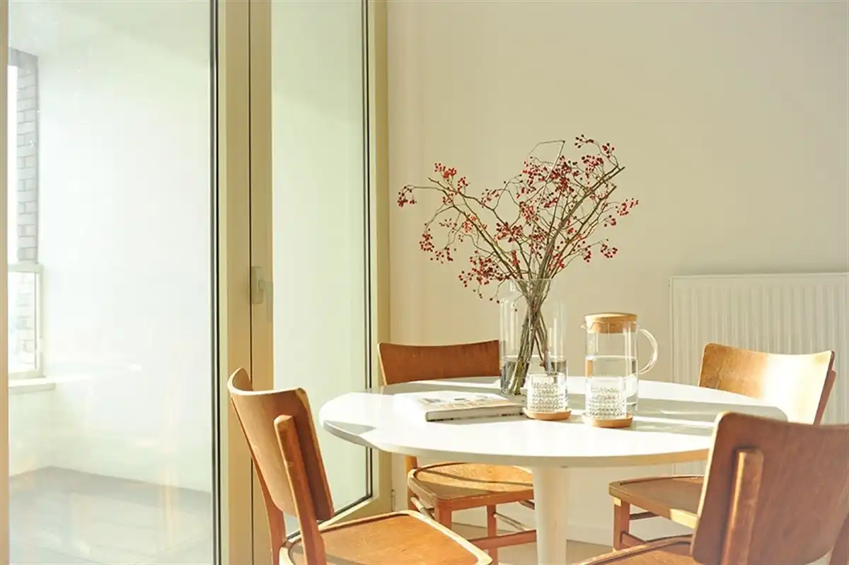 Lichtrijk appartement met terras op het Eilandje foto 2