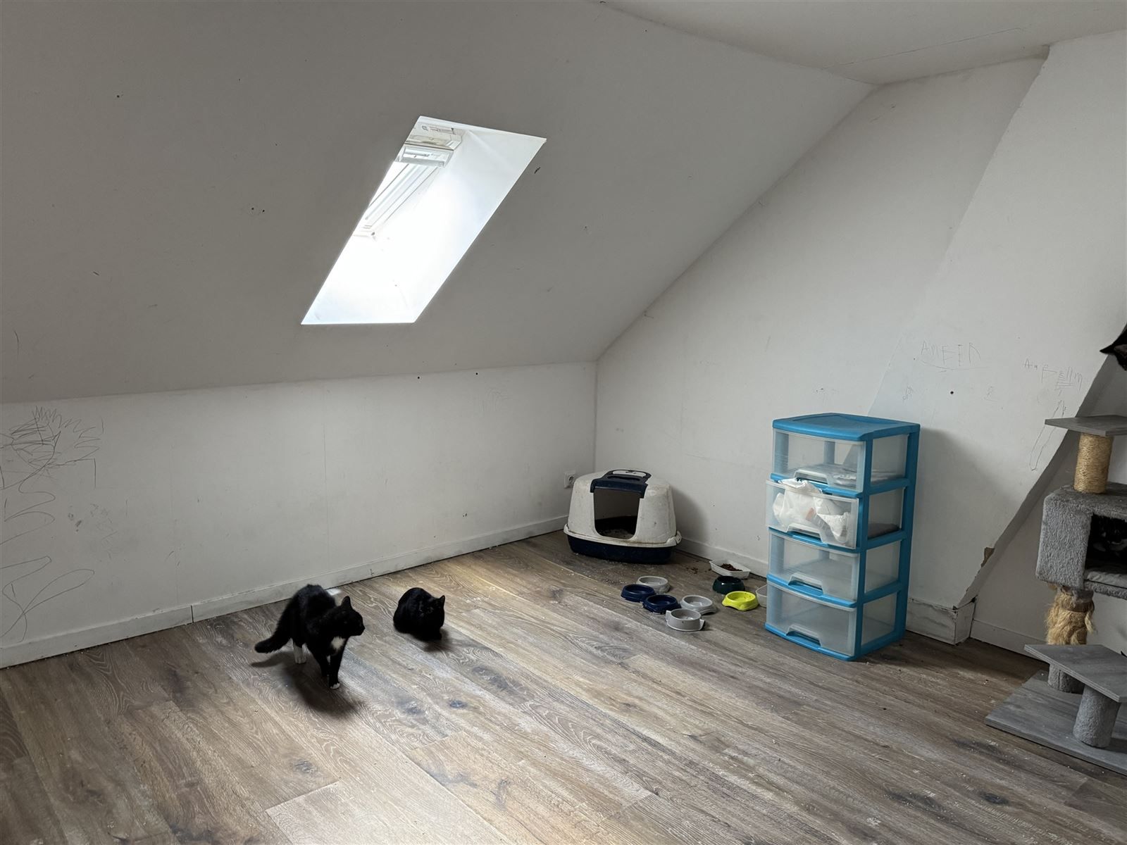 Huis foto 9