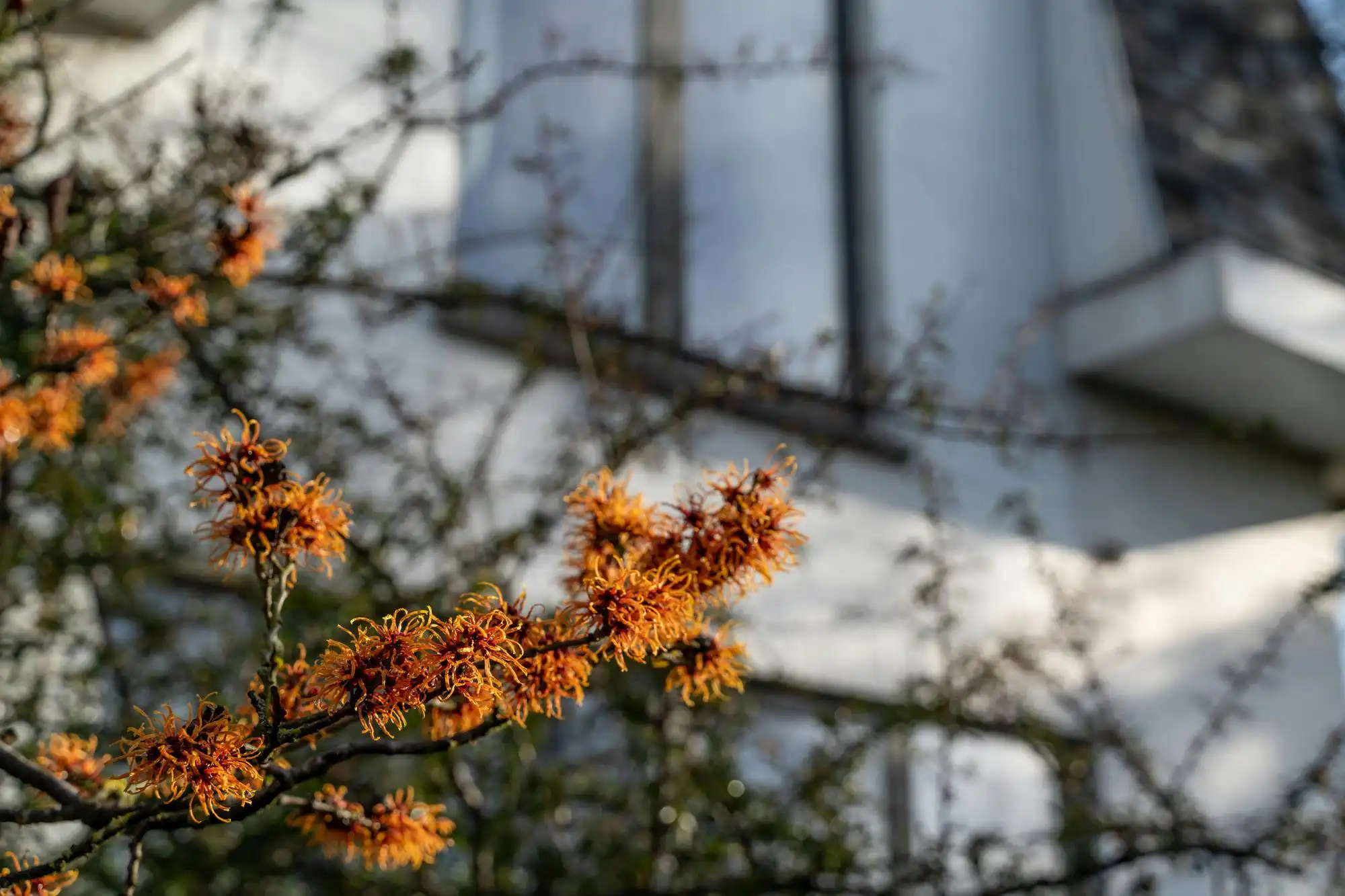 Karaktervolle architectenvilla op uitzonderlijk domein in Diepenbeek foto 18