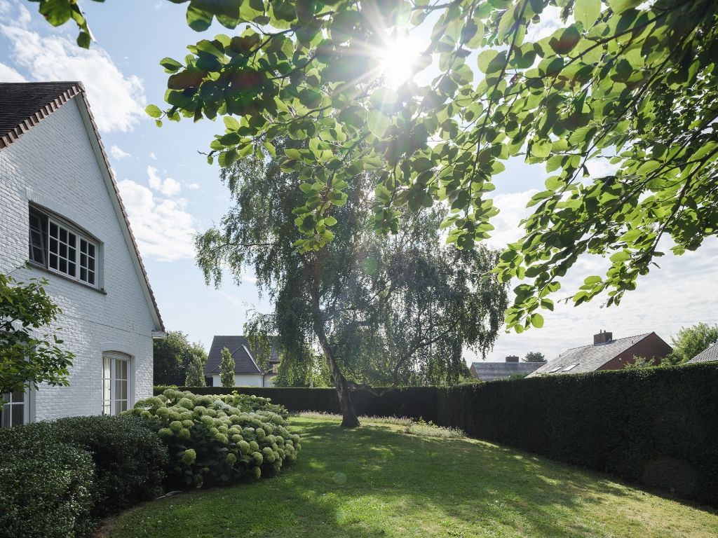 Bijzonder ruime en instapklare villa rustig gelegen in Astene foto 22