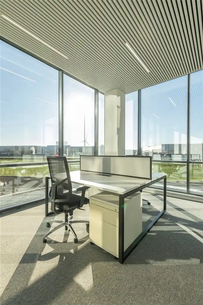 Business Center SkylineE40 FLEX  foto 15