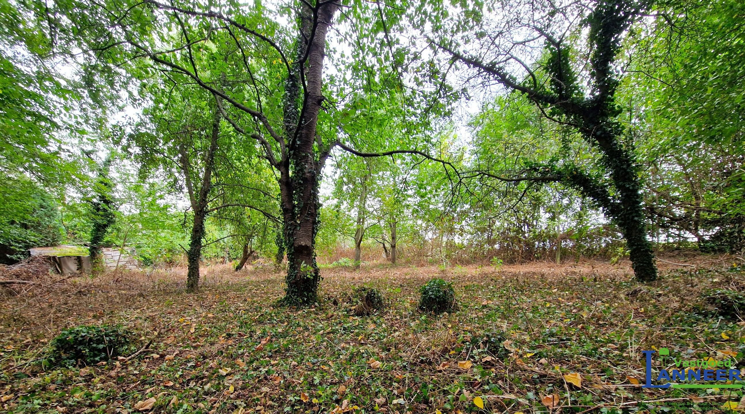 Vrijstaande villa op grond van 19 are met weids zicht te Herne foto 12
