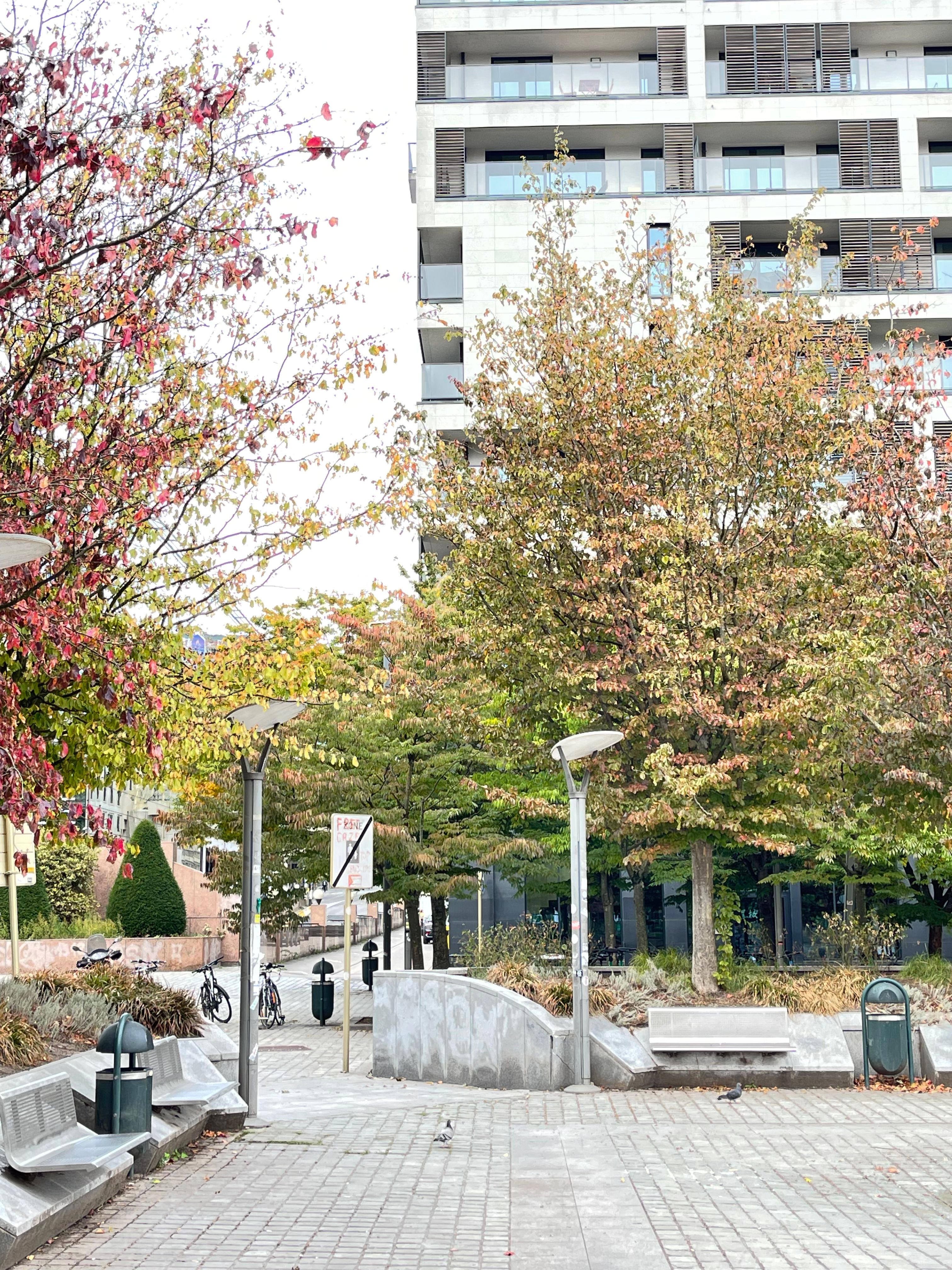 Tof appartement met 1 slaapkamer, terras  en parking  (30.000 €) foto 18