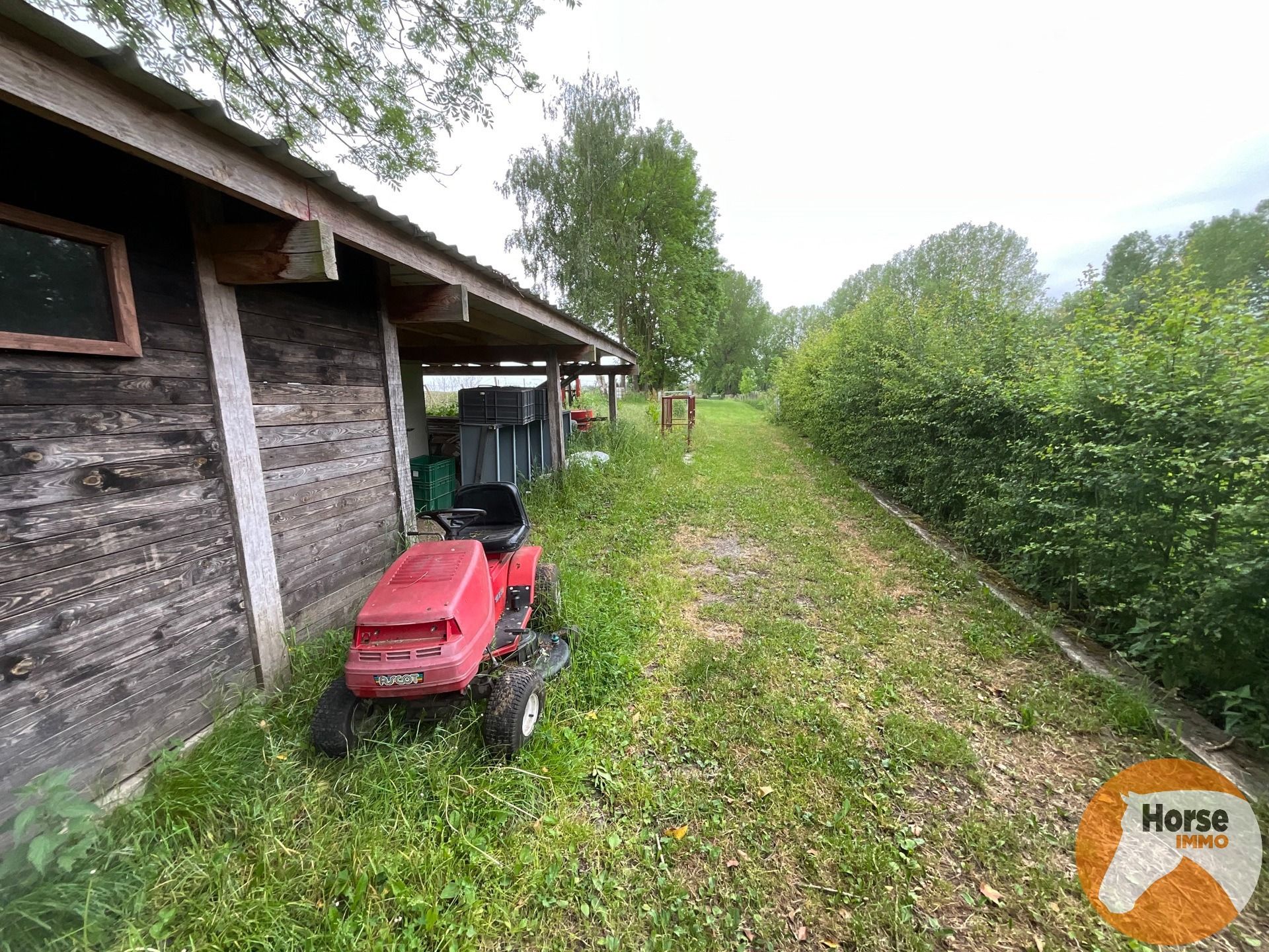 GERAARDSBERGEN - Rustig gelegen weide - 1,04 ha  foto 5