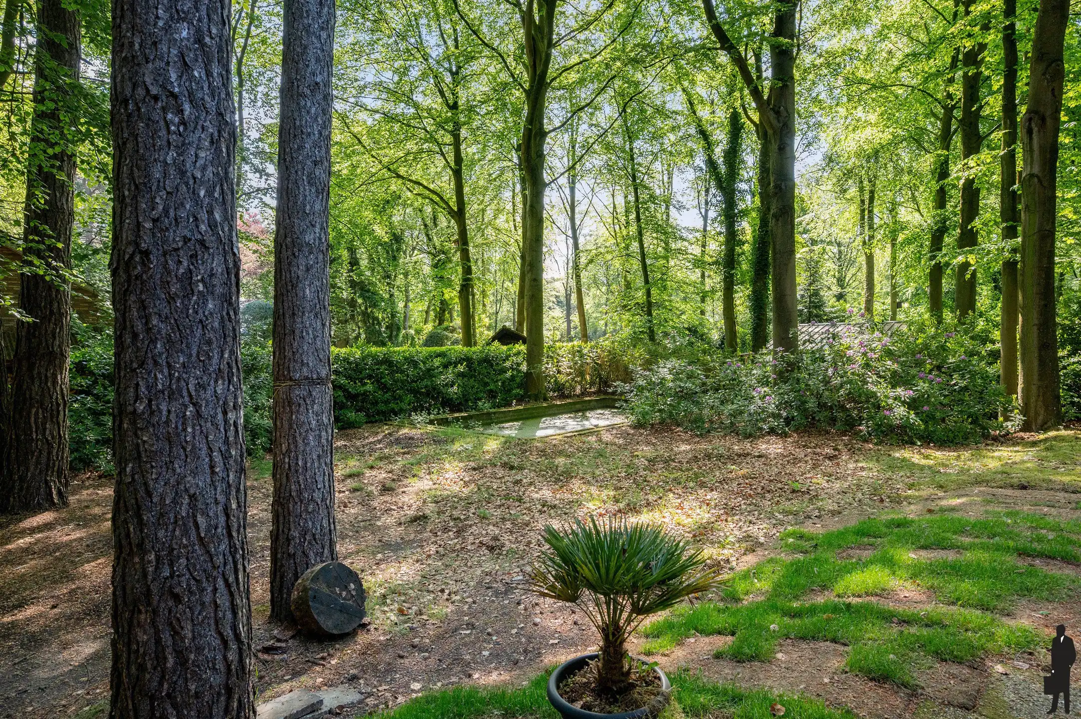 Volledig vernieuwde laagbouwvilla met 4 slaapkamers op residentiële ligging te Dennendael. foto 47