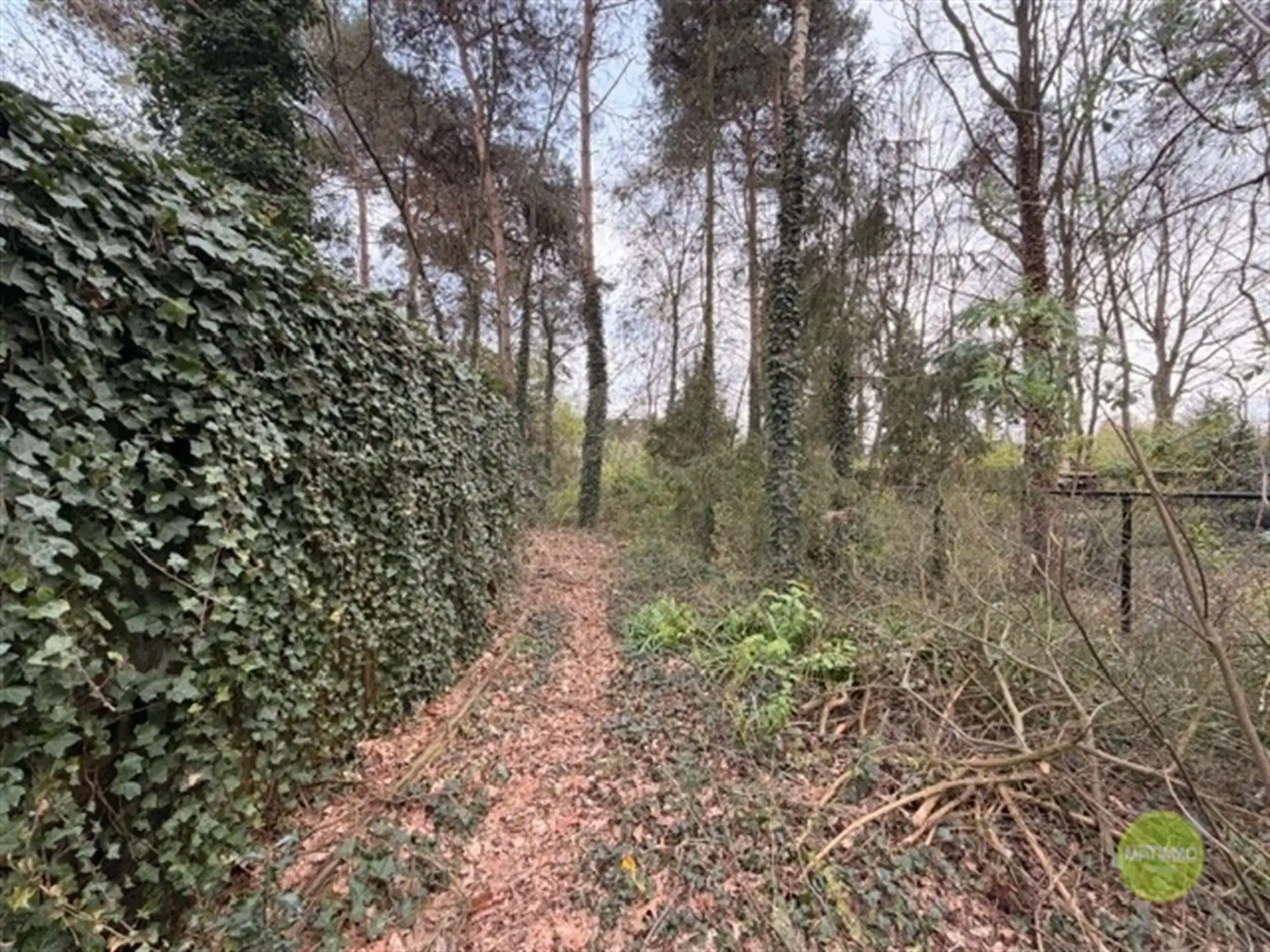 Ruime woning met 4 slaapkamers te Mol-Gompel foto 3