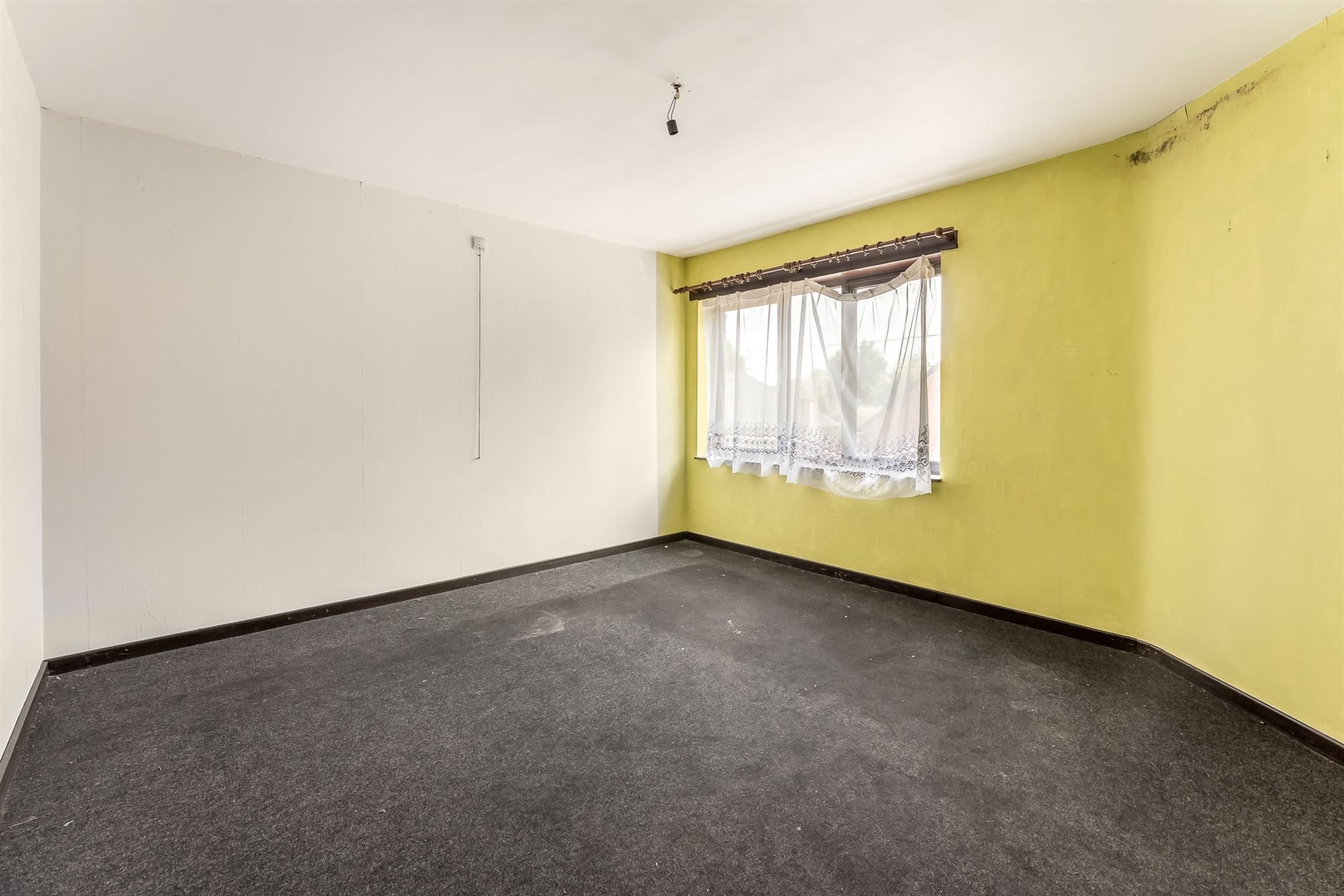 WONING MET POLYVALENTE RUIMTE (240M2!) VLAKBIJ NATUURDOMEIN foto 13