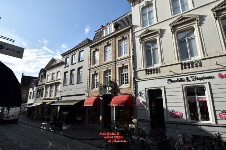 Gezellig dakappartement met 1 slaapkamer en terras  foto {{pictureIndex}}