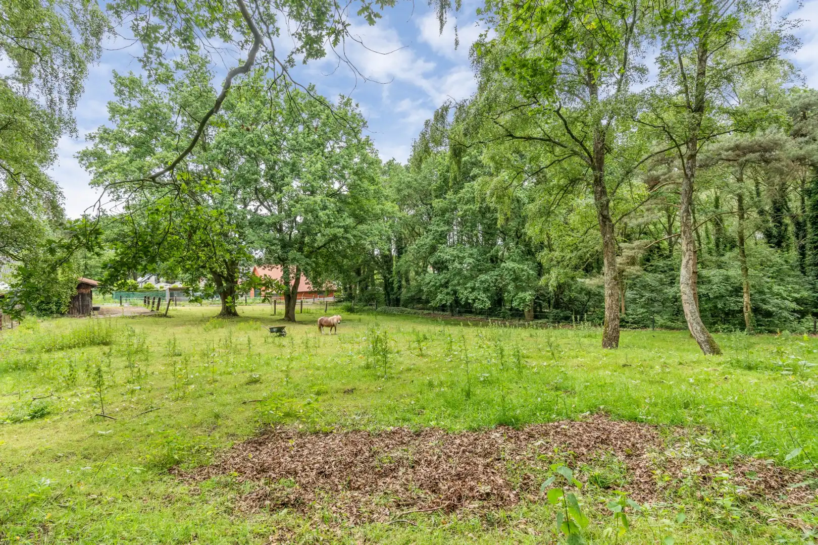 Uniek gelegen woning aan de bosrand op een perceel van 36a67ca waarvan 22a82ca geschikt is als paardenweide! foto 9