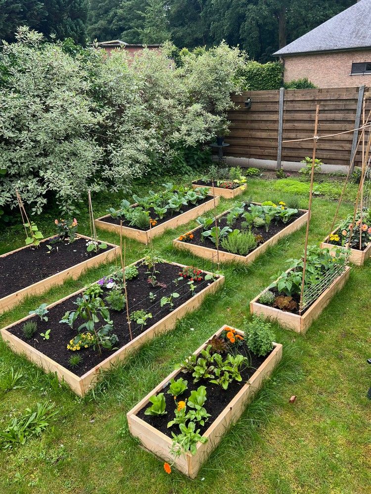 Unieke energiezuinige HOB met 3 SLPKS en grote tuin in een rustige straat in Wijnegem! foto 21