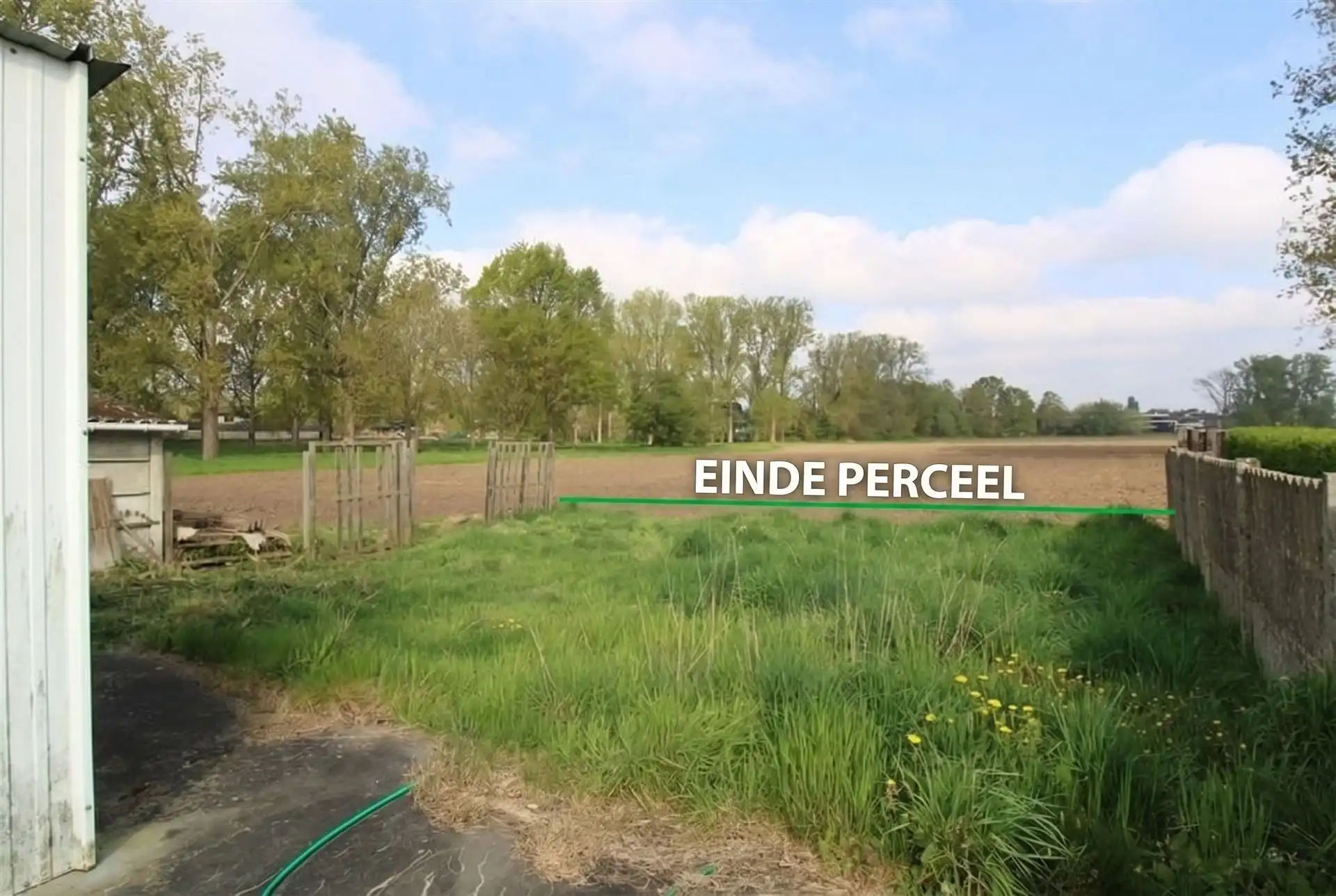 Karaktervolle gezinswoning met dubbele garage op perceel van 5a71ca in Opgrimbie/Maasmechelen foto 16