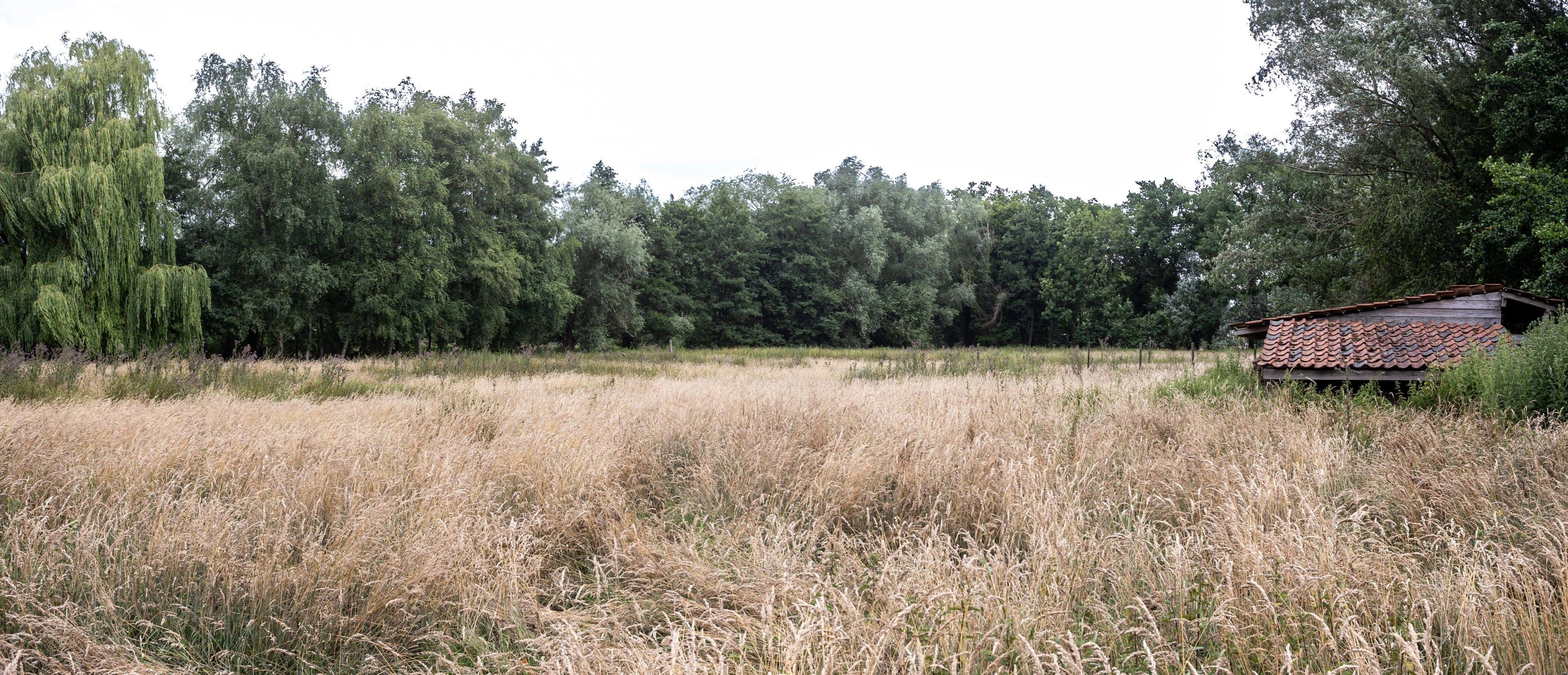 Uniek landhuis met aparte conciergewoning op 2 Hect grond foto 34