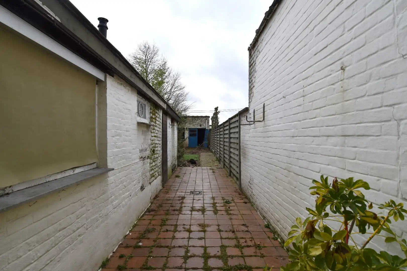 Te renoveren woning met tal van mogelijkheden en ruime opslagplaats (65,5 m²) te koop in Bissegem foto 10