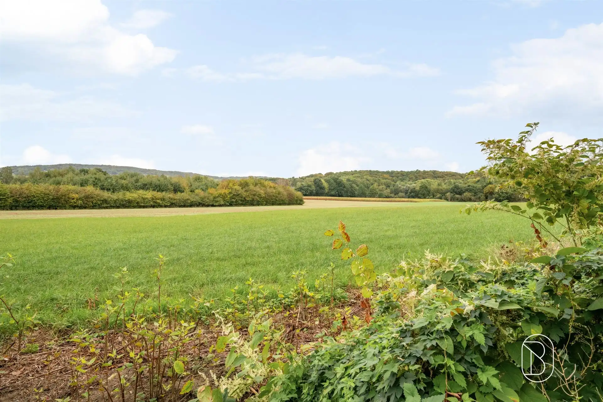 Goedgelegen bouwgrond (3.453m2) voor alleenstaande villa te Ronse foto 4