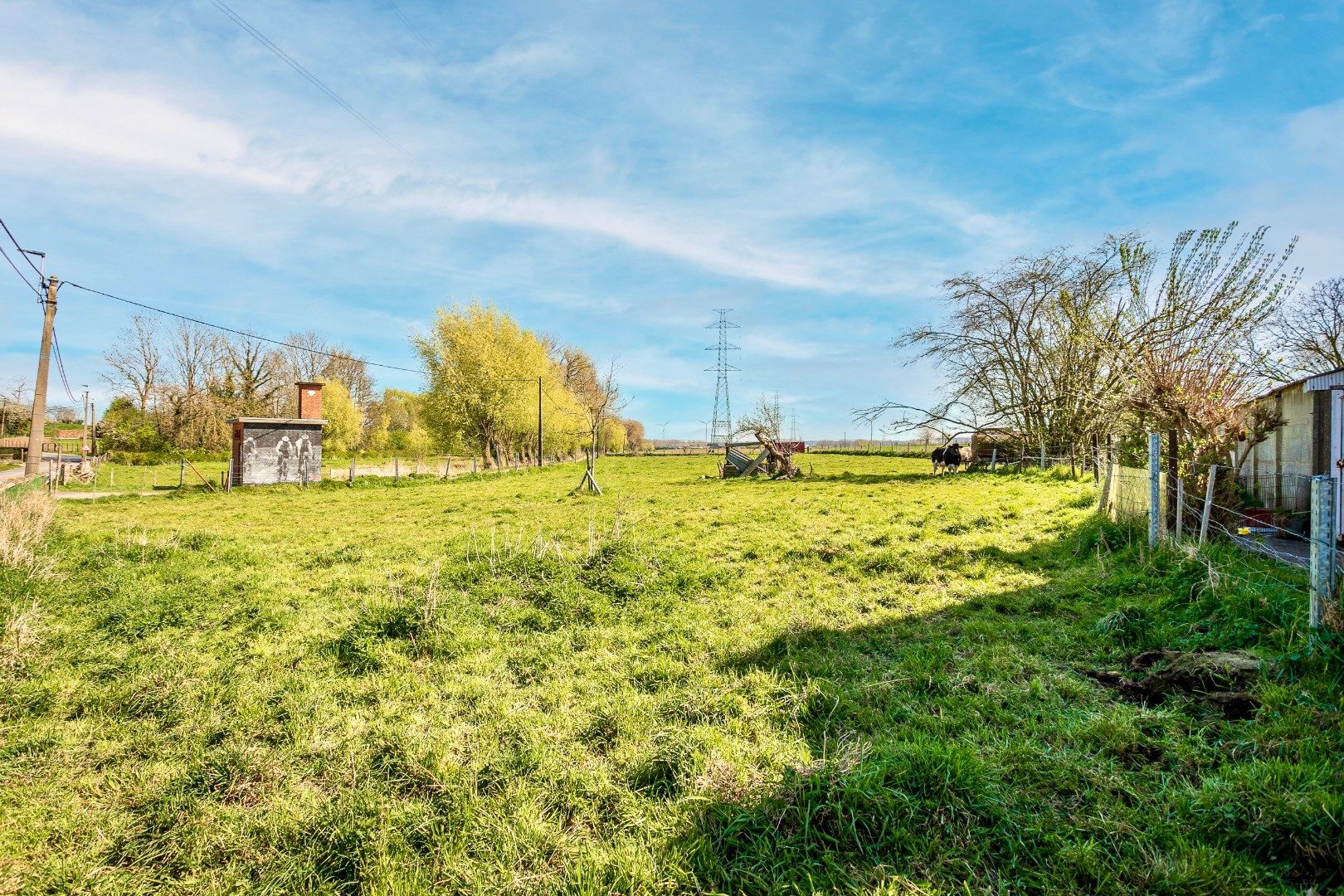 Te renoveren woning met omliggende gronden  foto 9