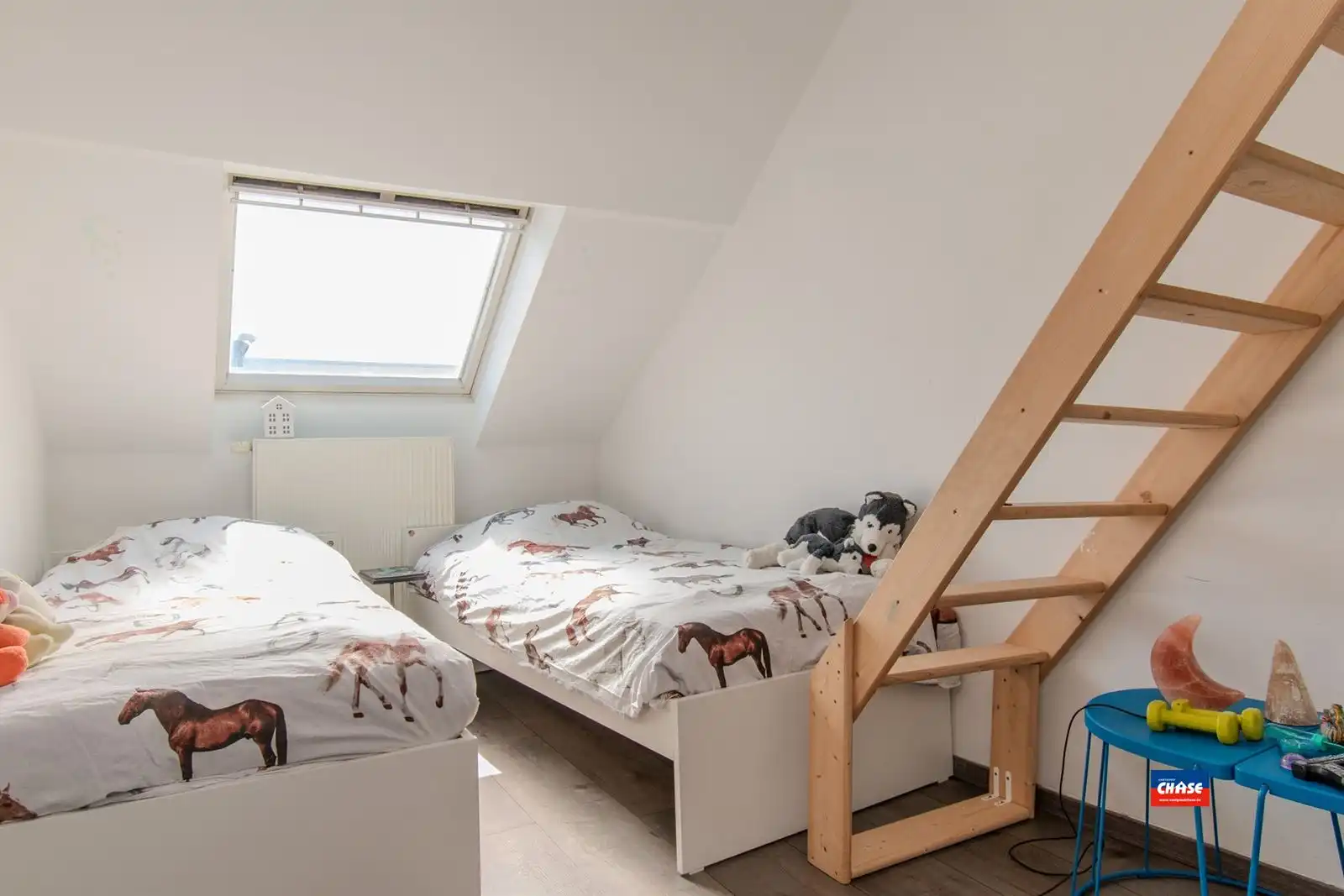  Handelsruimte met ruime woonst en tuin foto 8