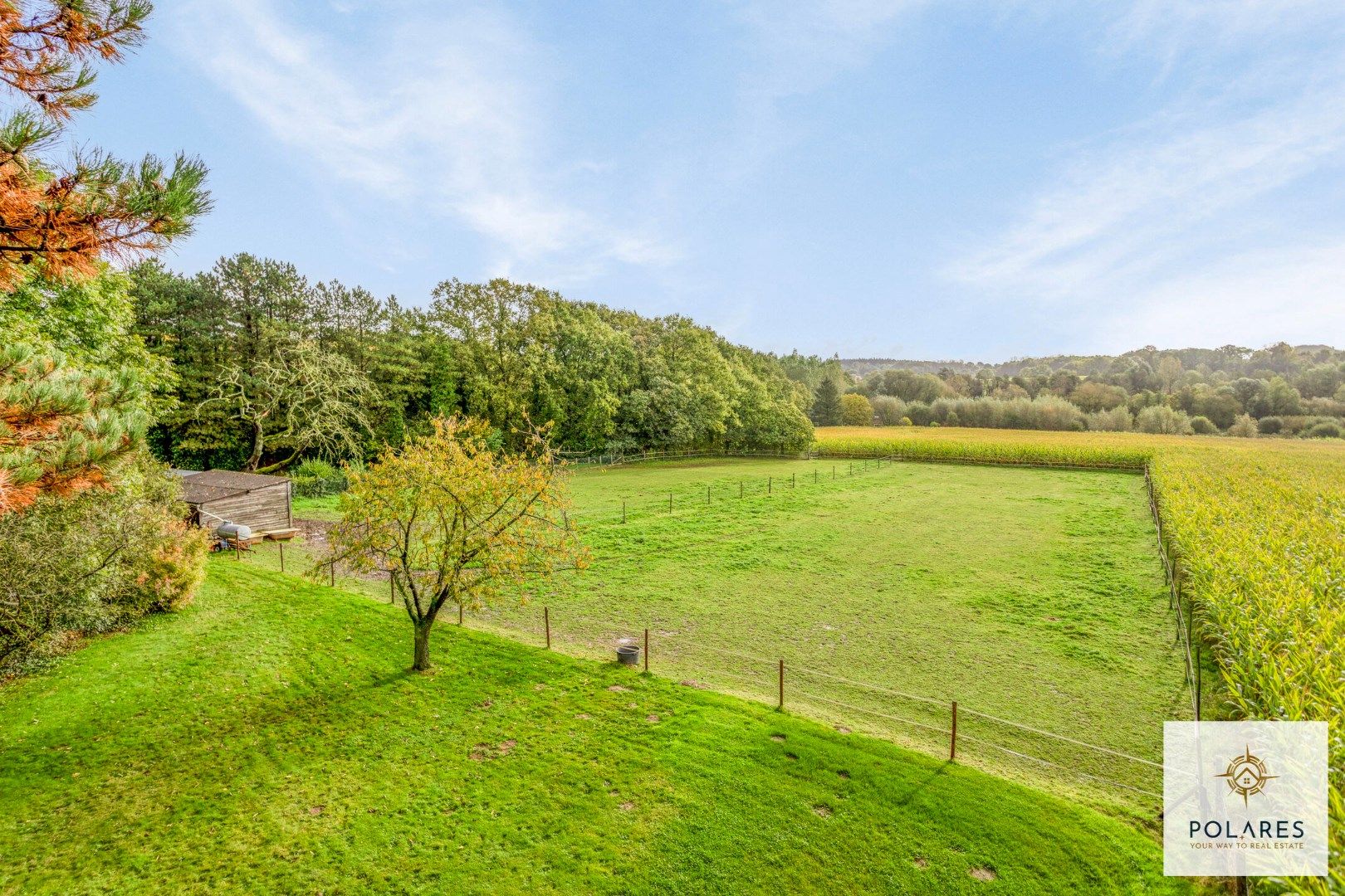 Prachtige te renoveren hoeve met paardenweide foto 2